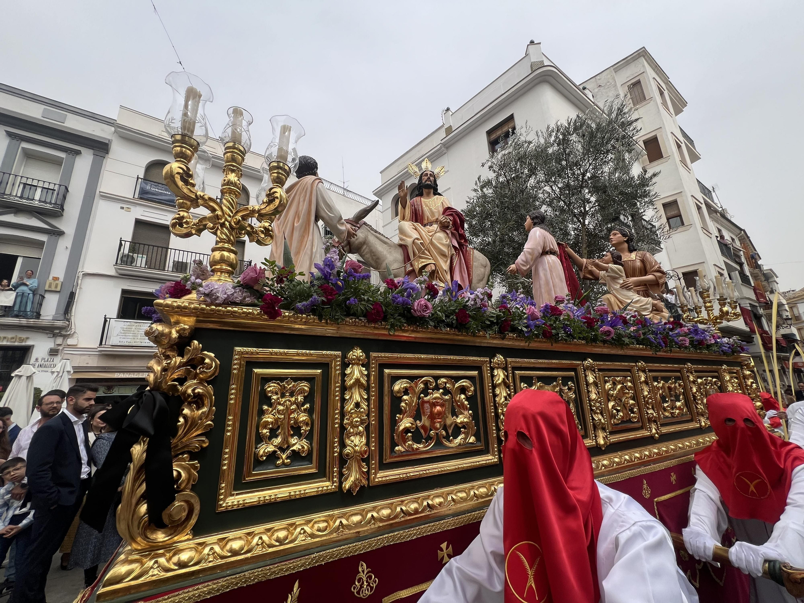 La procesión de La Pollinica de Priego de Córdoba el Domingo de Ramos 2024, en imágenes