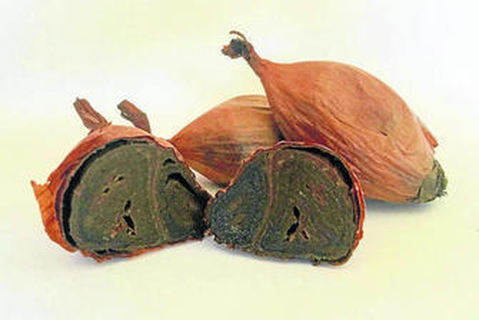 Cebollas negras de la empresa cordobesa La Abuela Carmen.