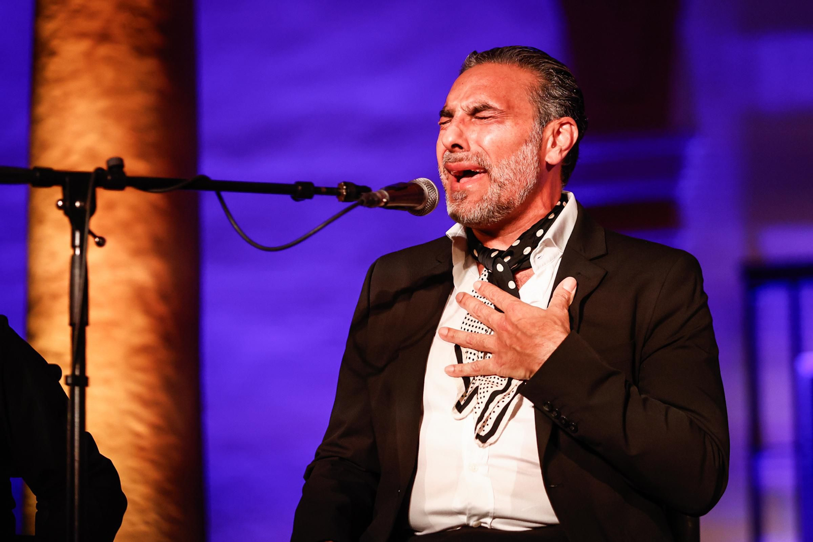Pedro el Granaíno hace vibrar la Abadía del Sacromonte durante I Bienal de Flamenco de Granada: en imágenes