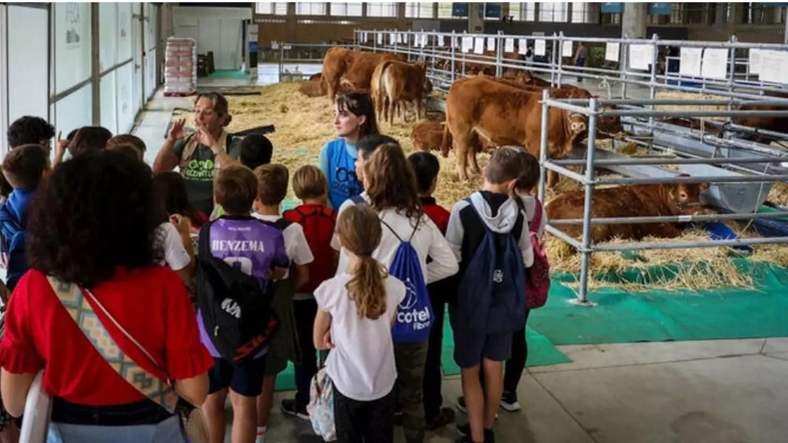 Escolares junto a ganado bovino en una edición anterior de Fegasur.