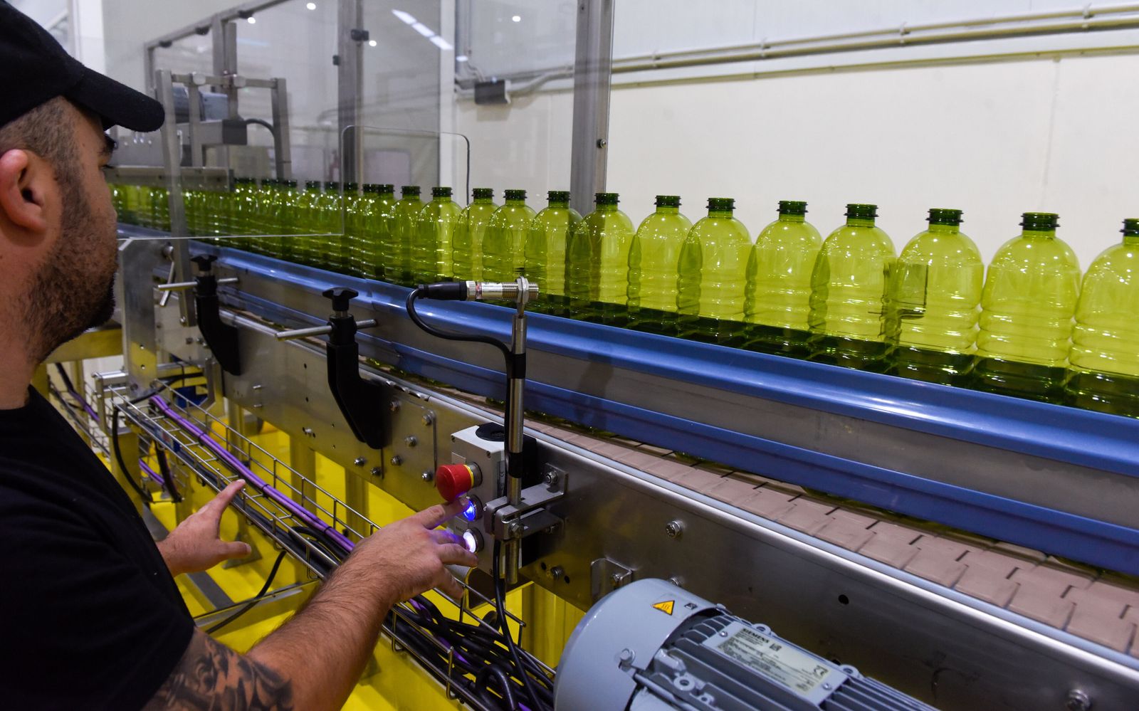 Planta embotelladora de aceite de oliva