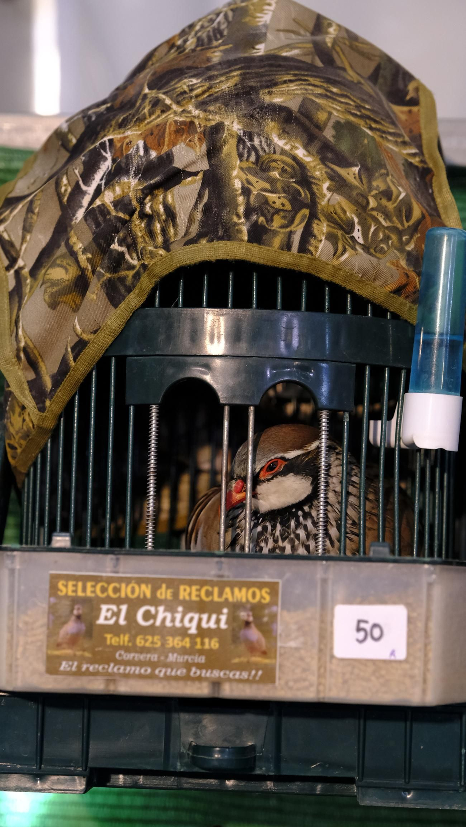 Las fotos de la Feria del Ganado y del Pájaro Perdiz en Albox