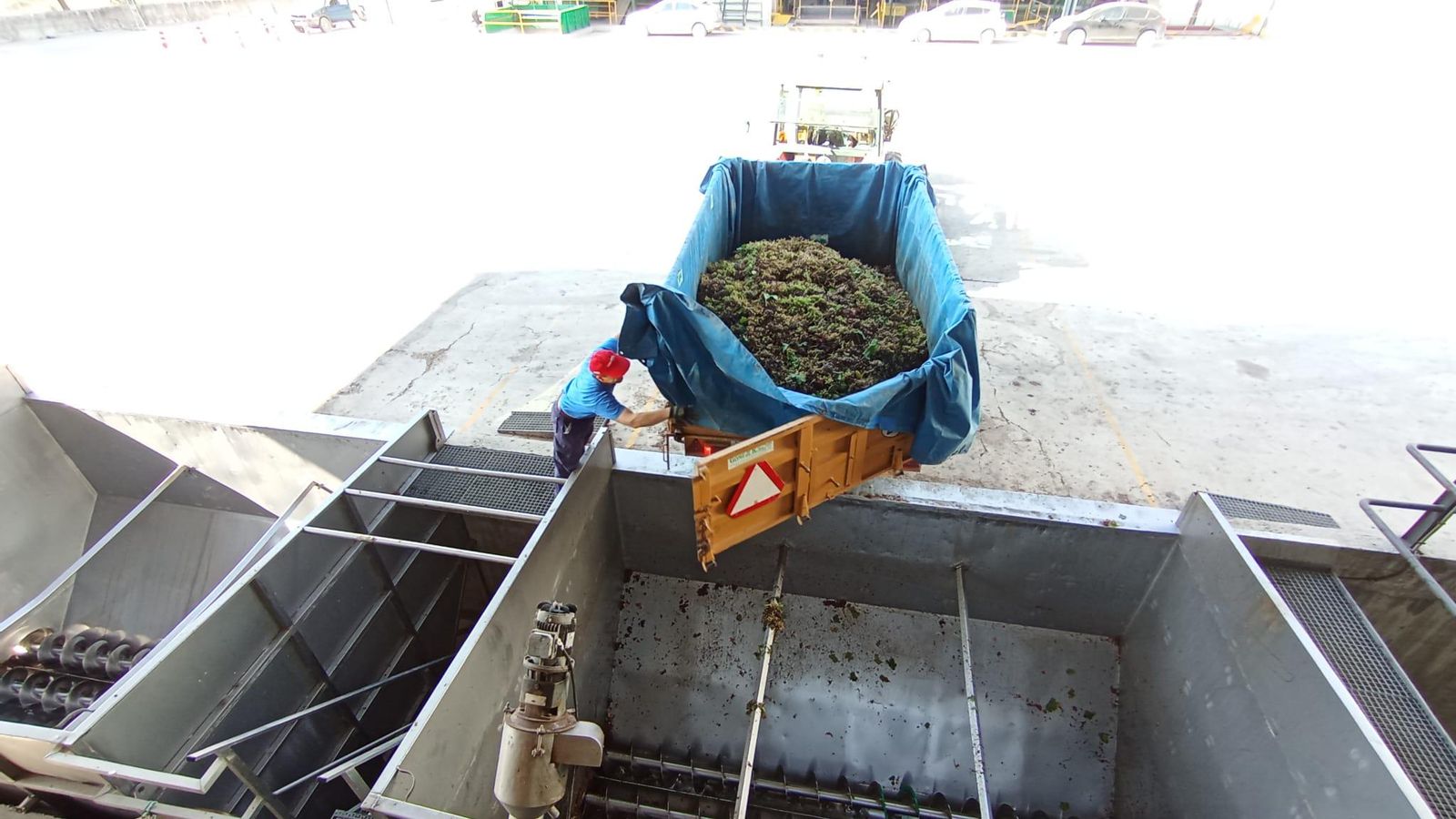 Un viticultor descarga uva en La Unión.