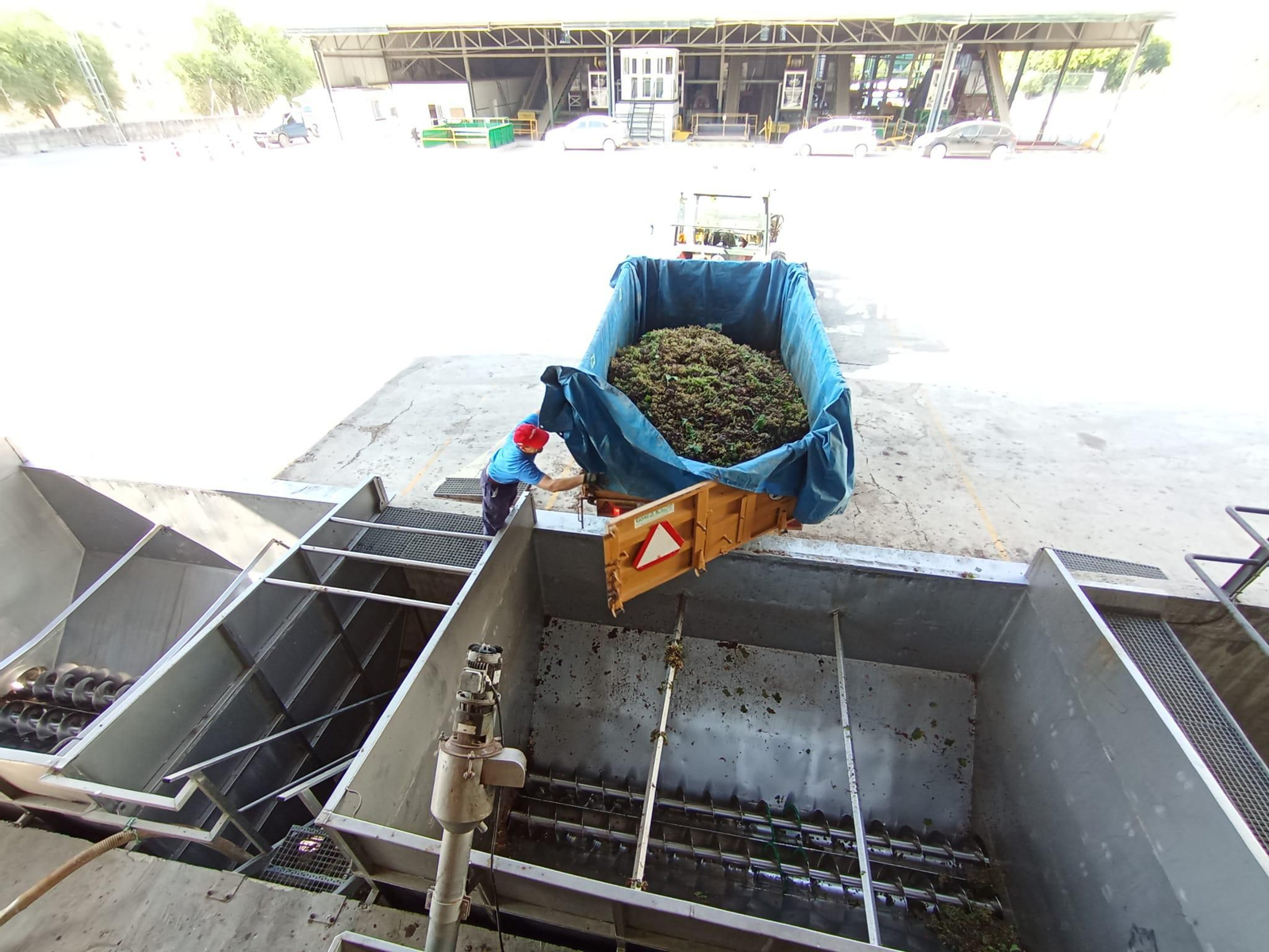 La vendimia de Montilla-Moriles