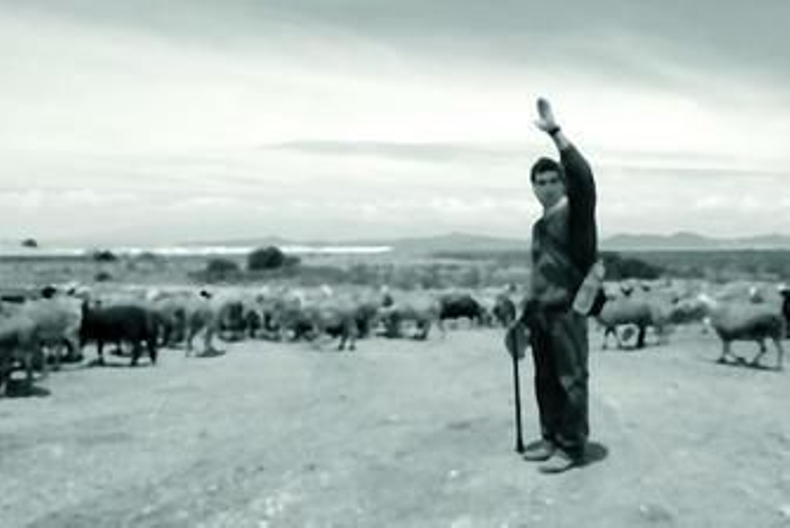 7. El crimen del pastor de Adra