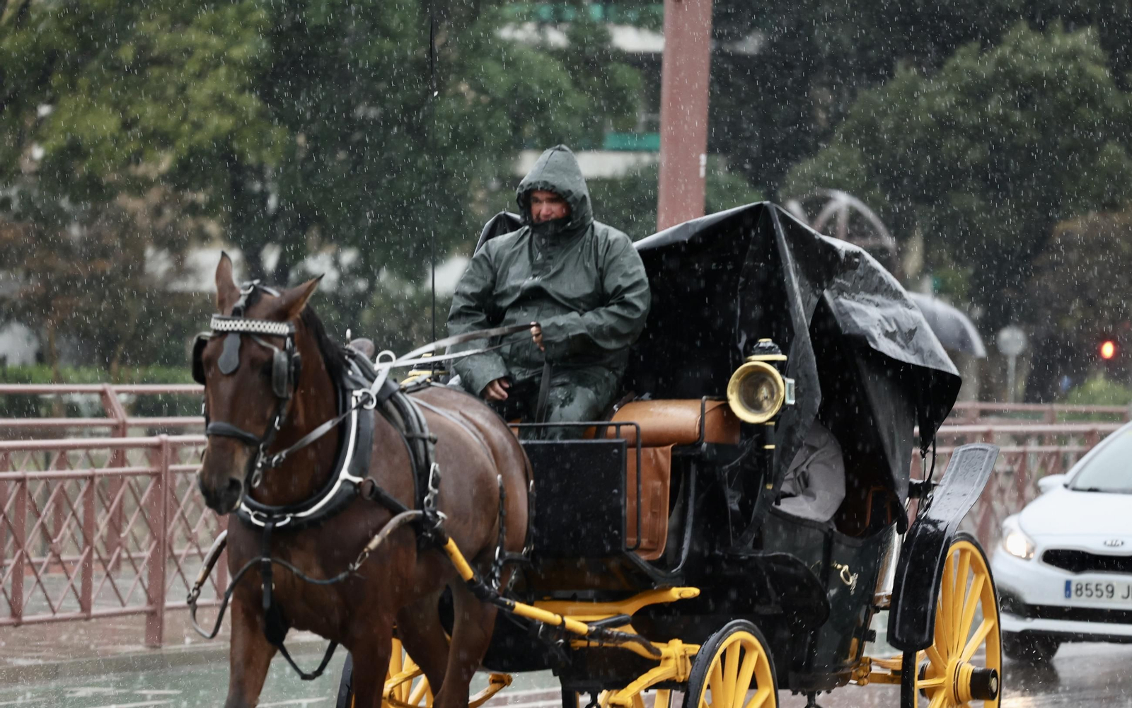 Lluvia en Sevilla