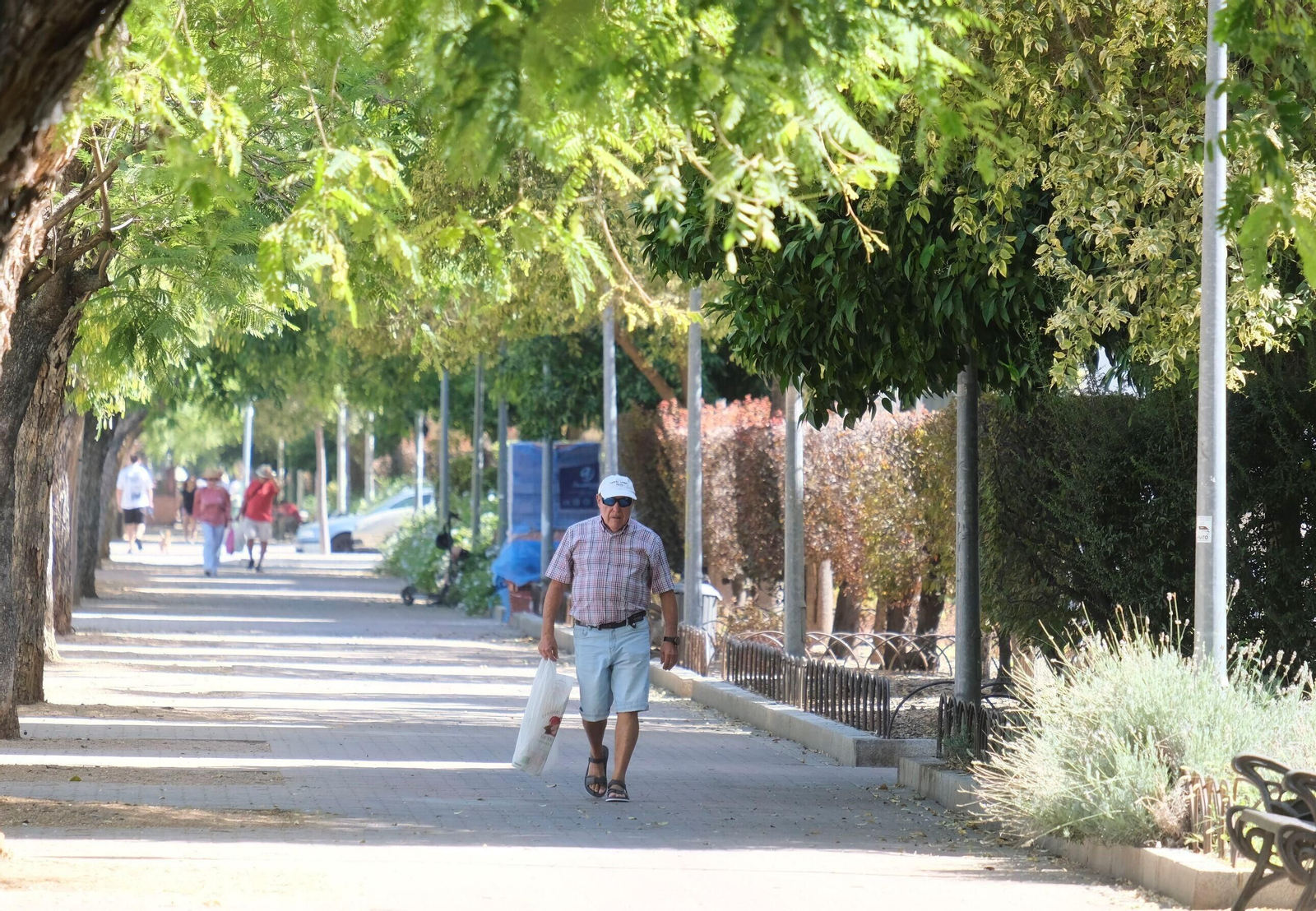 Un paseo en imágenes por el barrio cordobés del Santuario un día de agosto Un paseo en imágenes por el barrio cordobés del Santuario un día de agosto