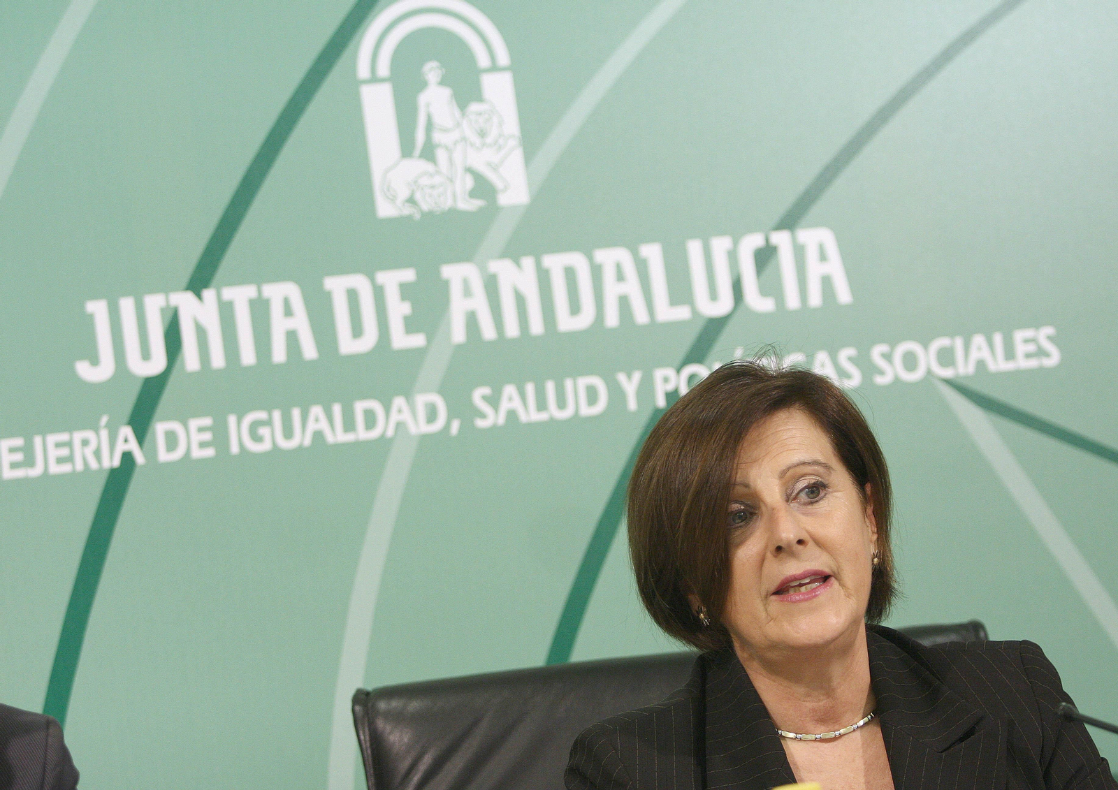La consejera de Igualdad y Políticas Sociales, María José Sánchez Rubio.