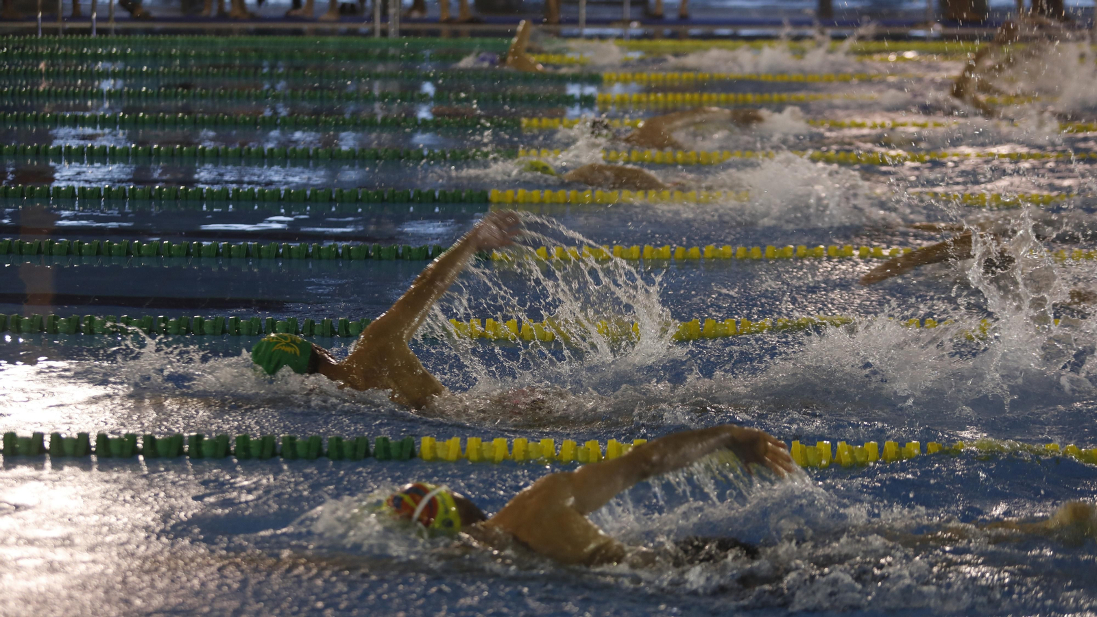 Las fotos del campeonato Máster de natación