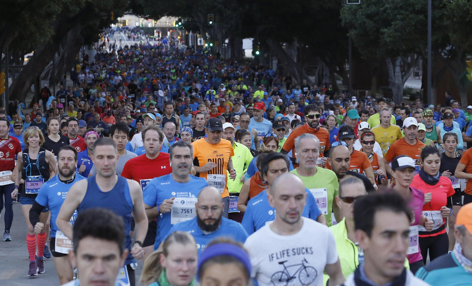 Las fotos del Maratón de Málaga 2019