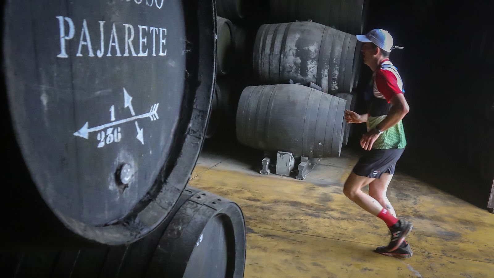 Un atleta recorre una de las bodegas del Marco de Jerez.