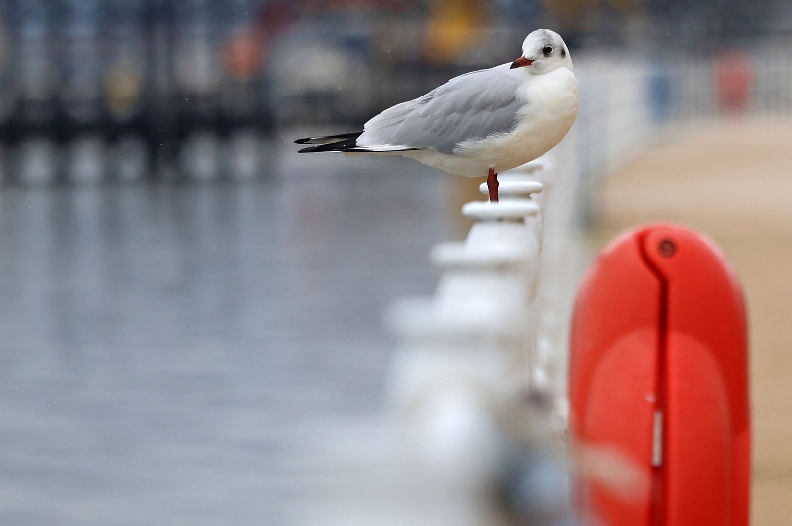 Imágenes del paso de la DANA por Huelva