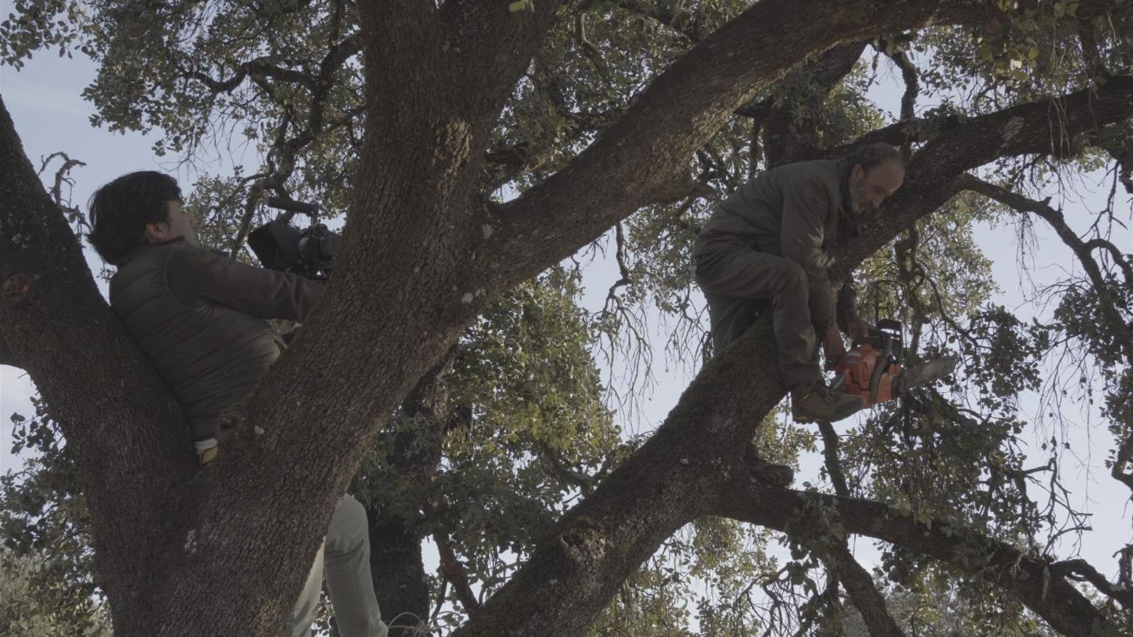 Rodaje del documental 'El árbol de la vida', sobre la enfermedad de Andrade.