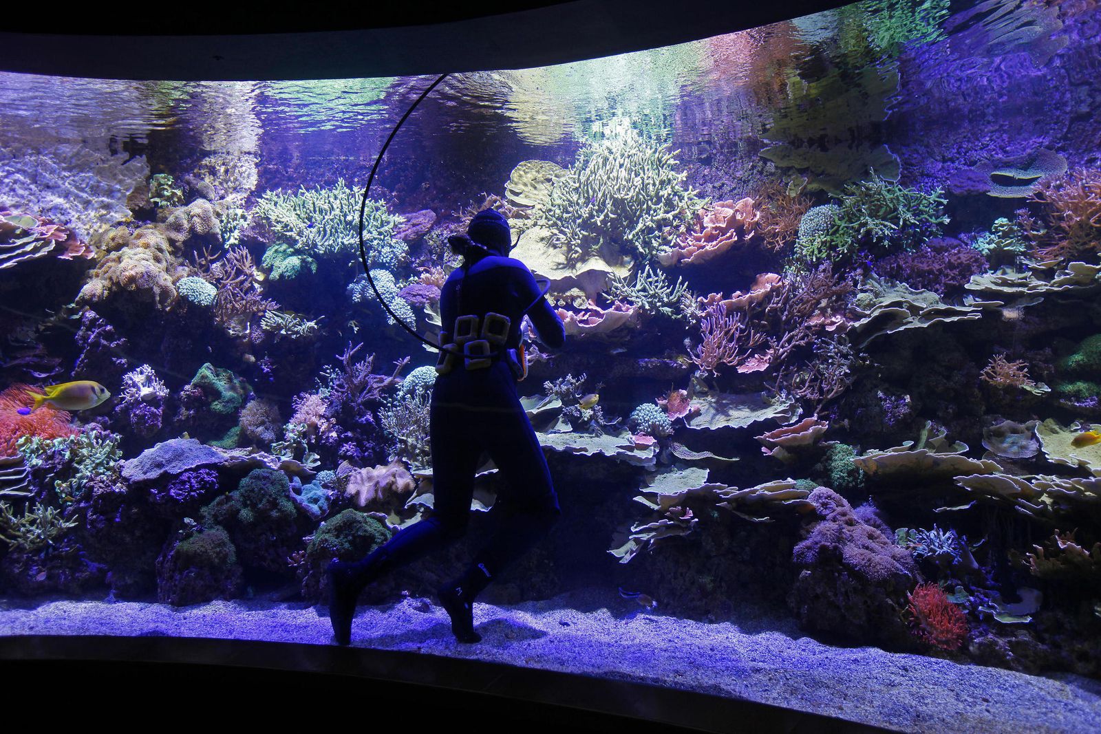 La jornada en el Acuario de Sevilla se titula 'Creando un turismo sostenible'.