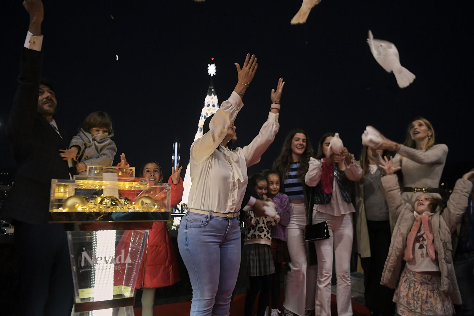 Fotos: así se ha iluminado el árbol de Navidad del Nevada en Granada, el más alto de España