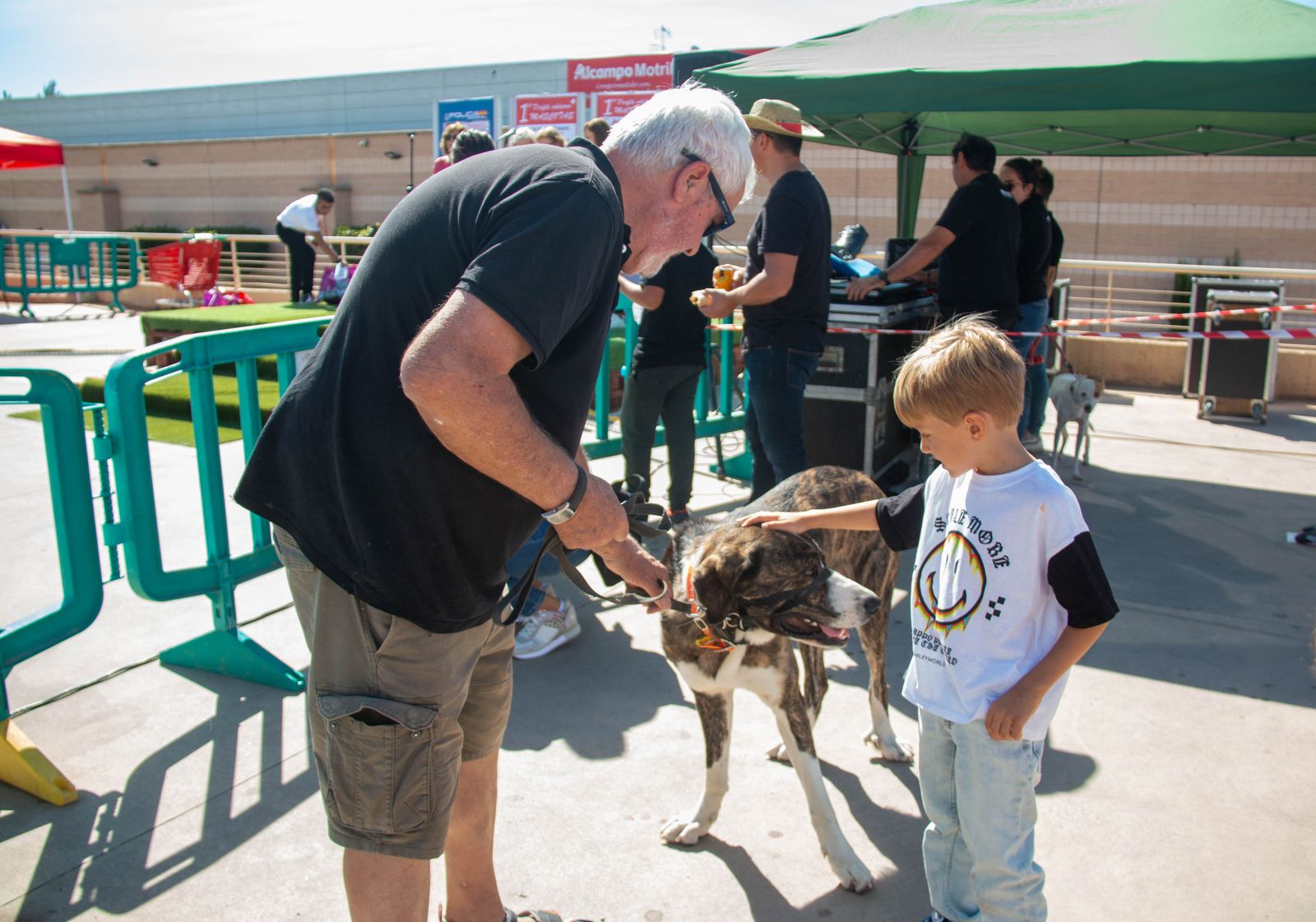 ¿Has estado en el primer desfile solidario de mascotas celebrado en Motril?