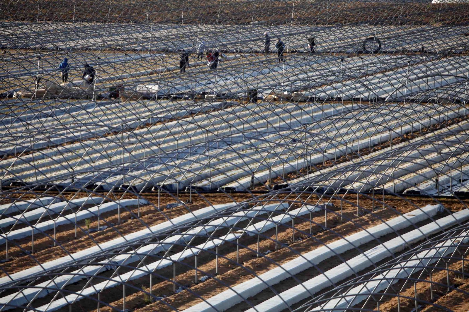 La superficie transformada en el entorno de Valdeoscuro suma casi 1.200 hectáreas