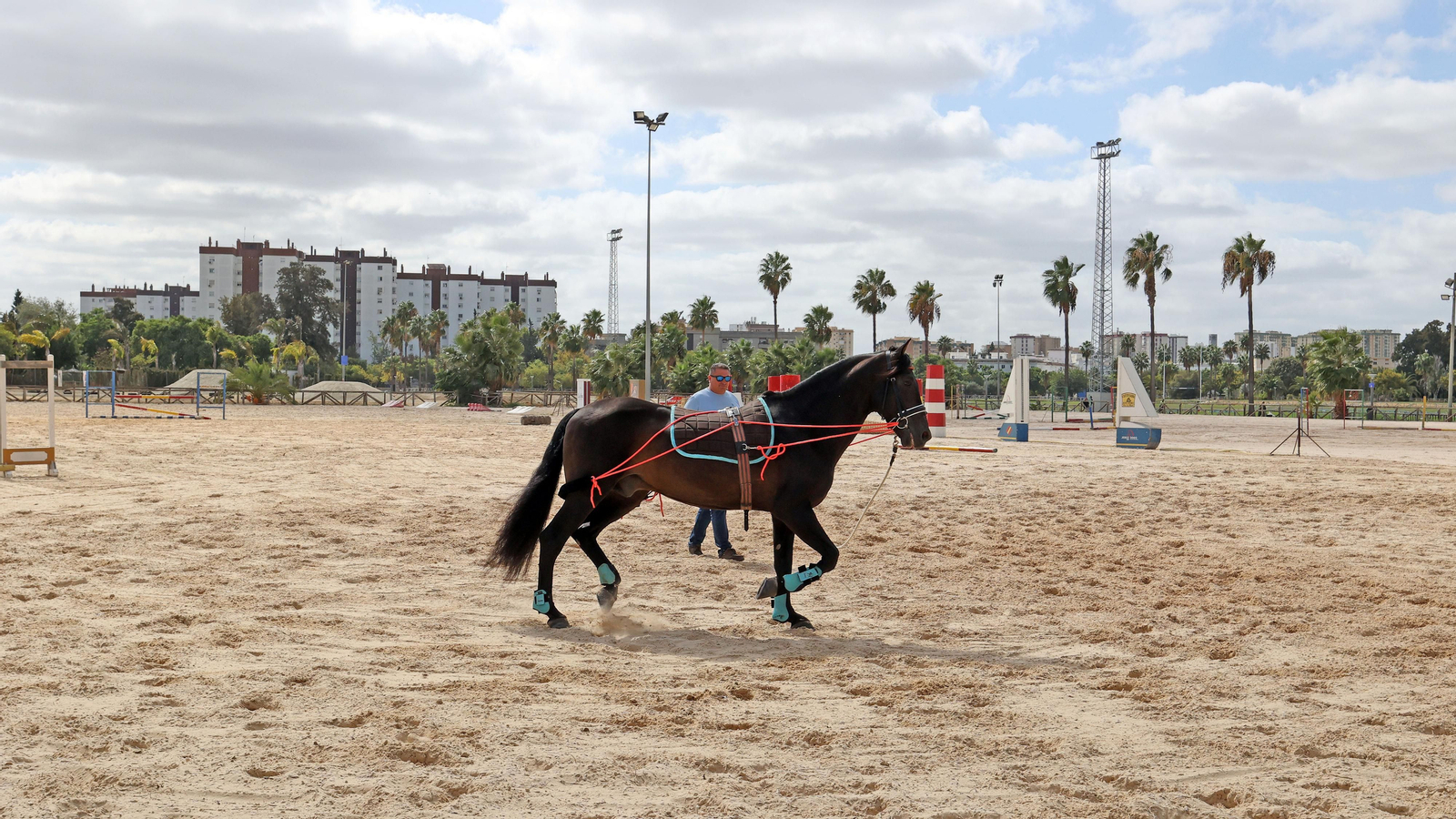 20 años después de los Juegos Ecuestres Mundiales Jerez 2002