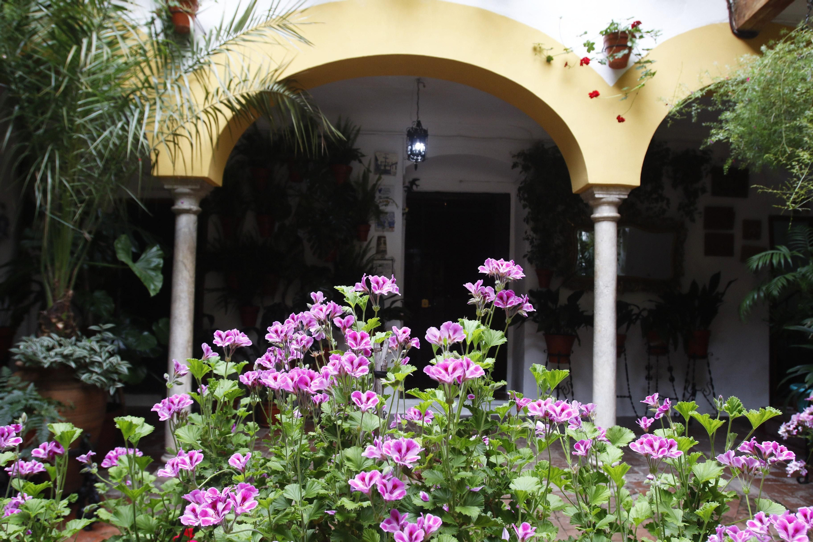 Los Patios de Córdoba en tiempos de crisis: Duque de la Victoria, 3