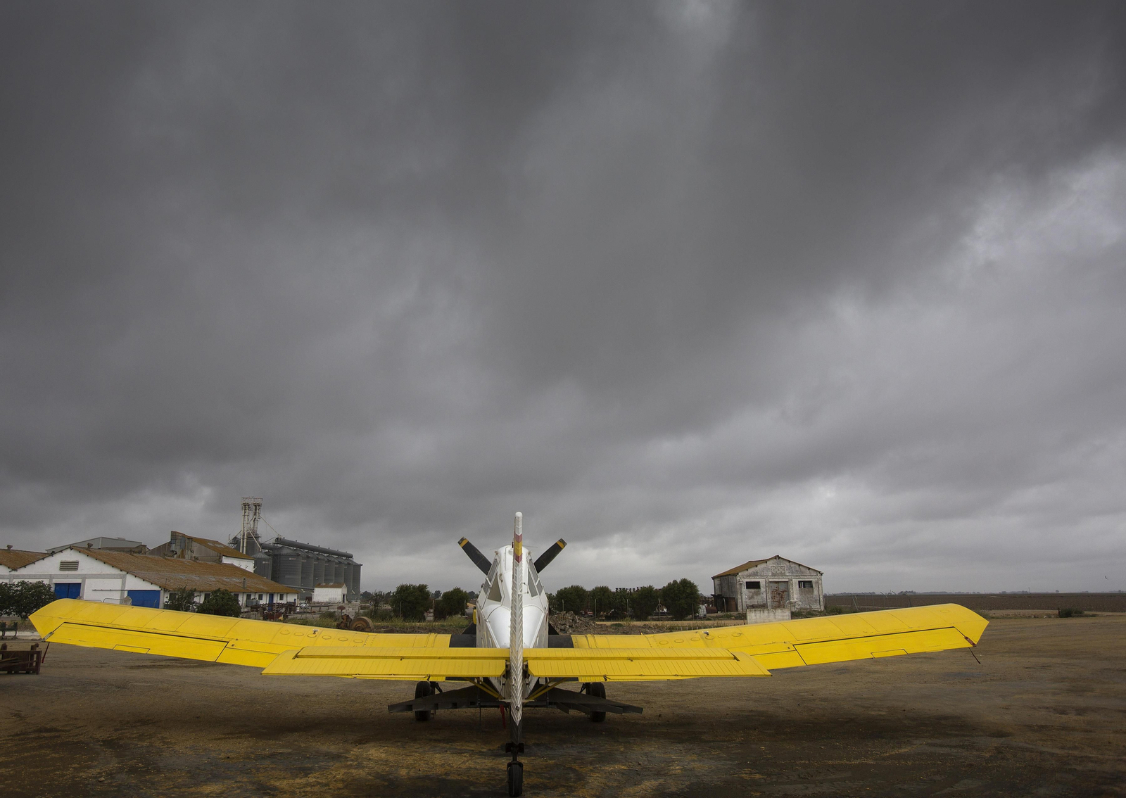 Marismas del Guadalquivir, un paisaje de cine