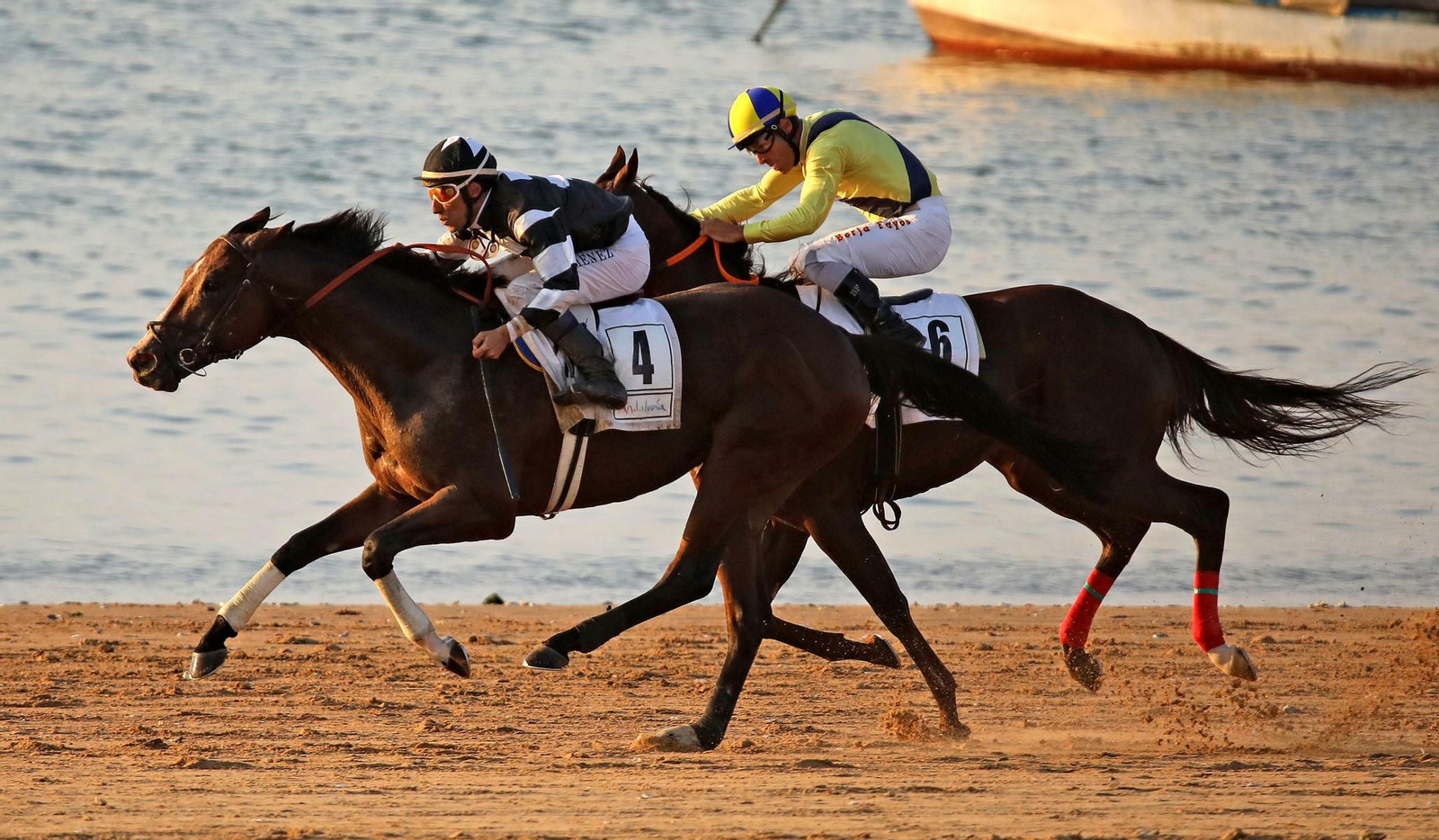 El primer ciclo de las Carreras de Caballos de Sanlúcar arranca este viernes.
