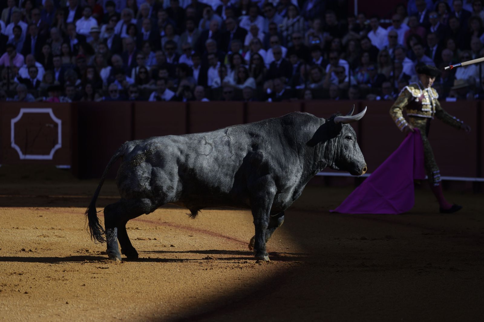 Las imágenes de la corrida de los Victorinos en la Maestranza de Sevilla