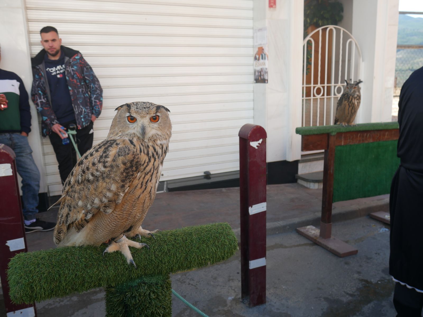 Imágenes de la "visita de los Reyes Católicos" a Fiñana