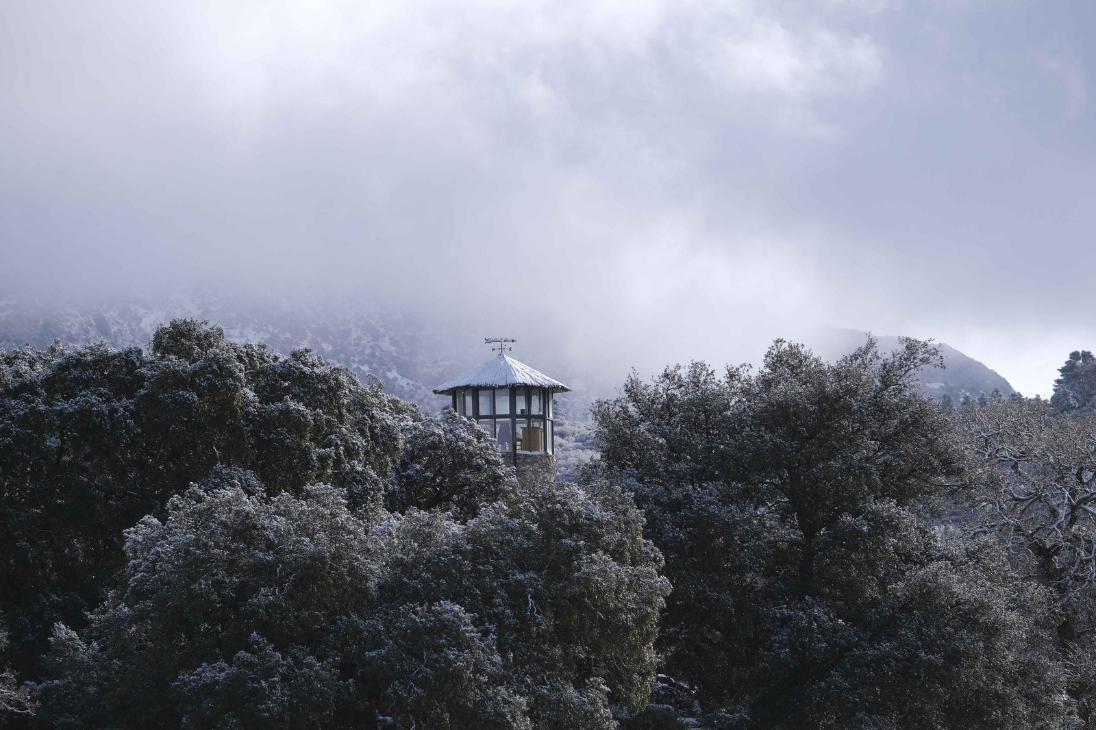Nevada en la Serranía de Ronda, en fotos.