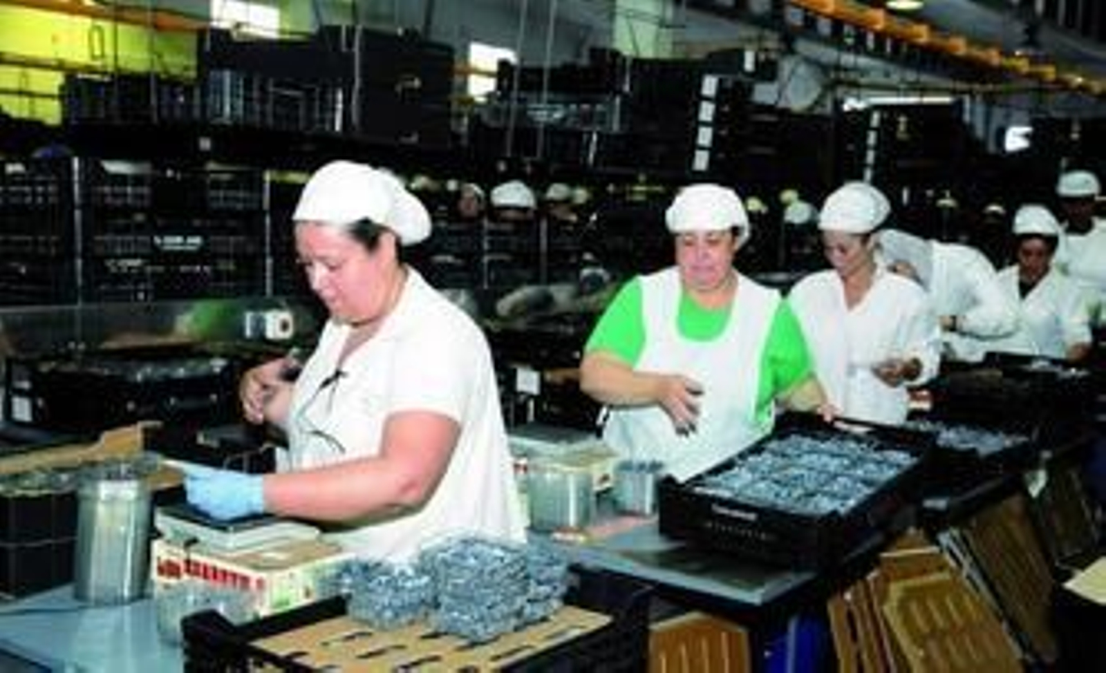 A lo largo de todo el proceso se cuida hasta el más mínimo detalle para que los productos lleguen al consumidor con la máxima calidad. A lo largo de todo el proceso se cuida hasta el más mínimo detalle para que los productos lleguen al consumidor con la máxima calidad.