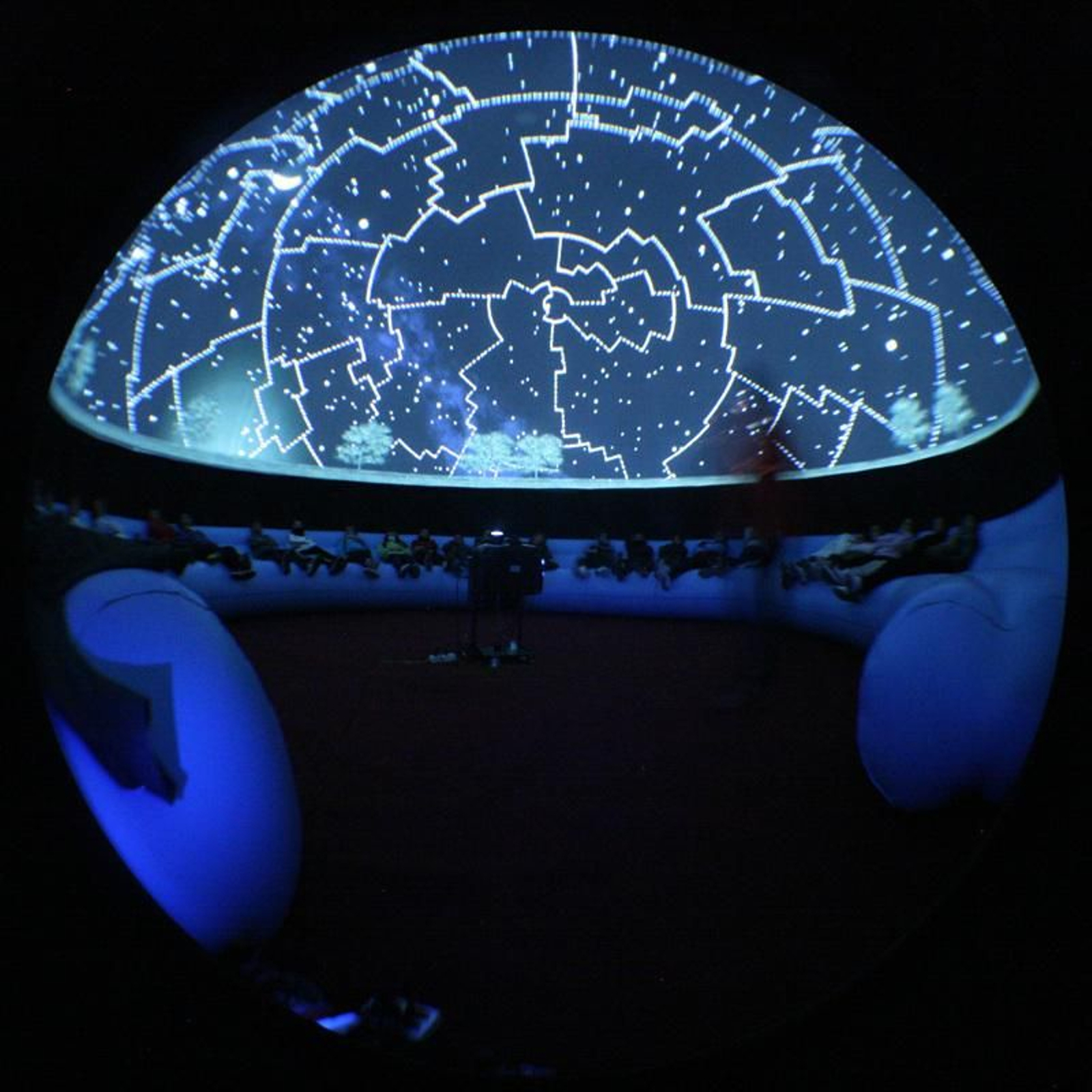 Un grupo de escolares disfruta de la proyección.