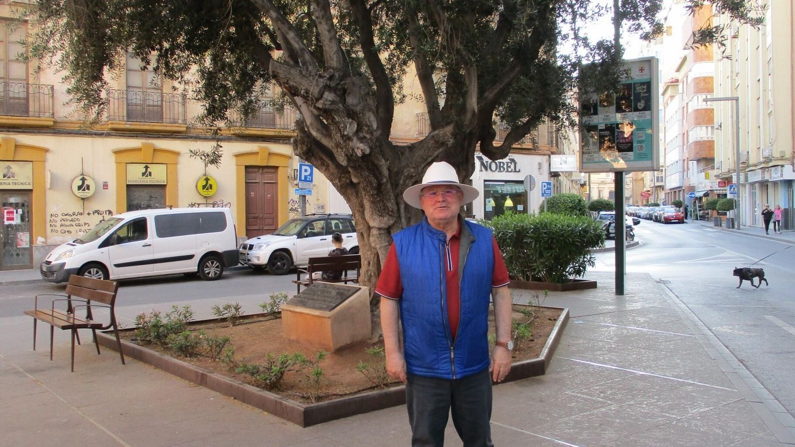 Paco Camacho bajo el olivo centenario de plaza Santa Rita.