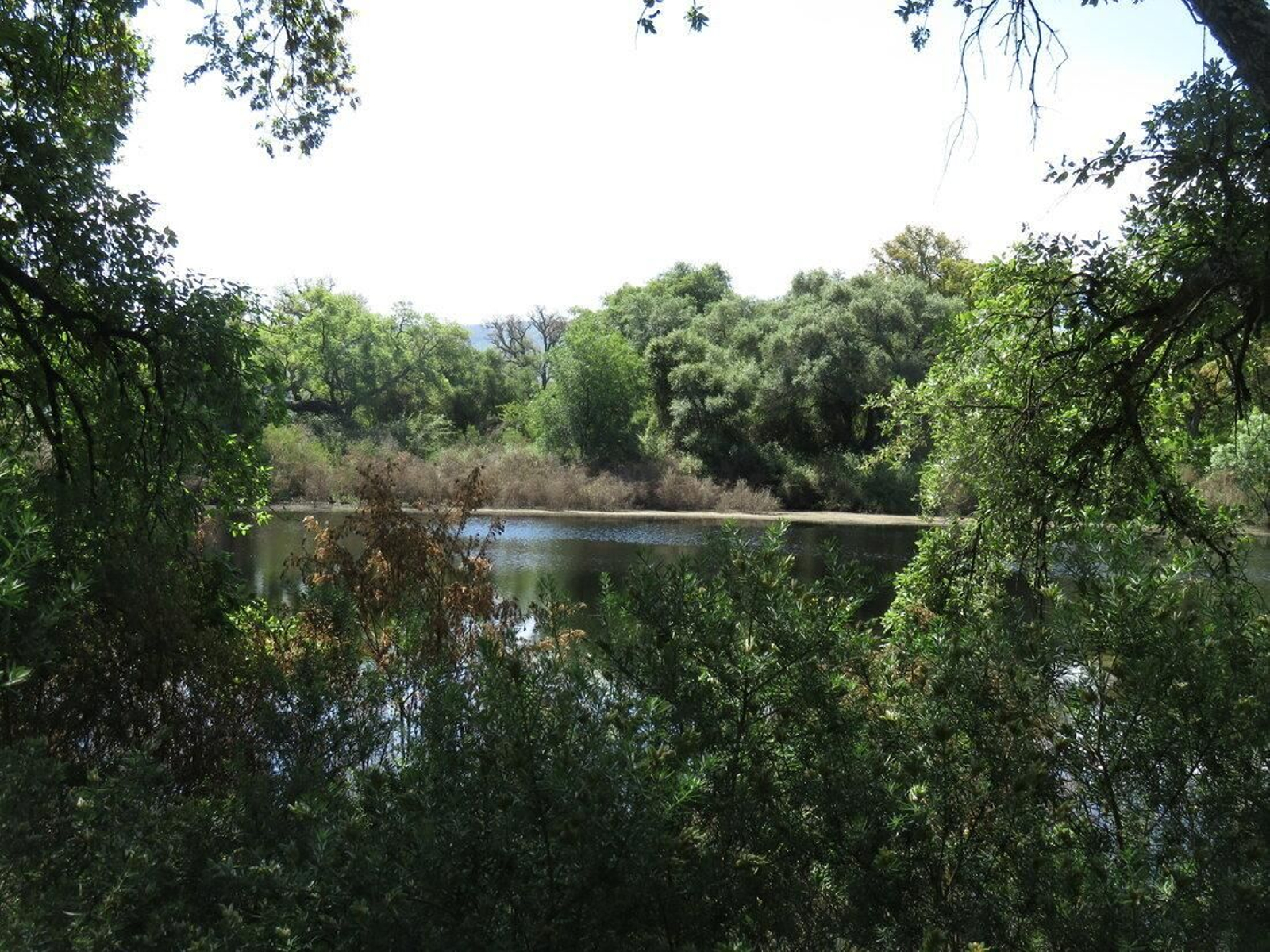 Los Montes de Propios