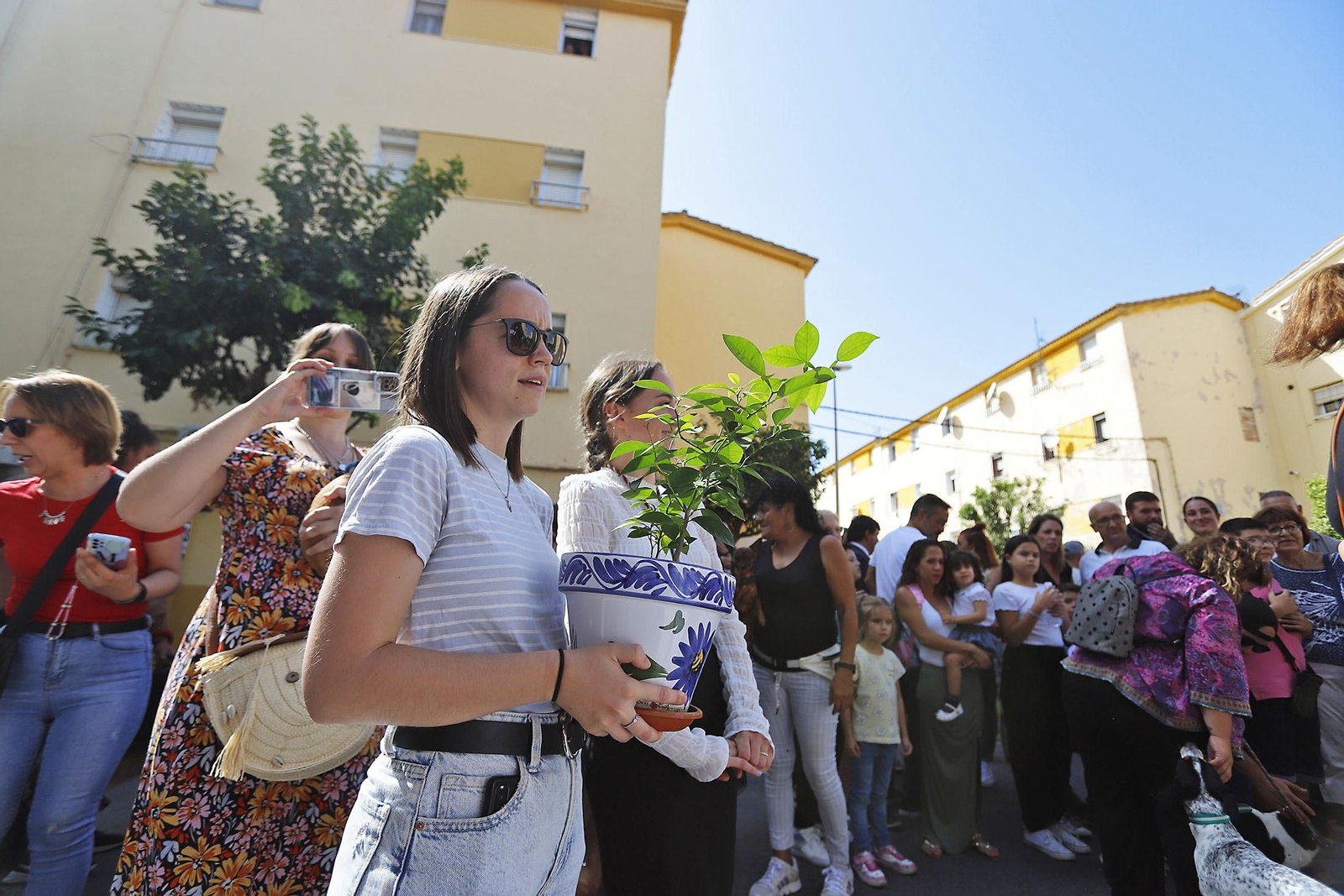 Imágenes de la procesión de San Francisco de Asís por las calles de Pérez Cubillas y bendición de animales y plantas