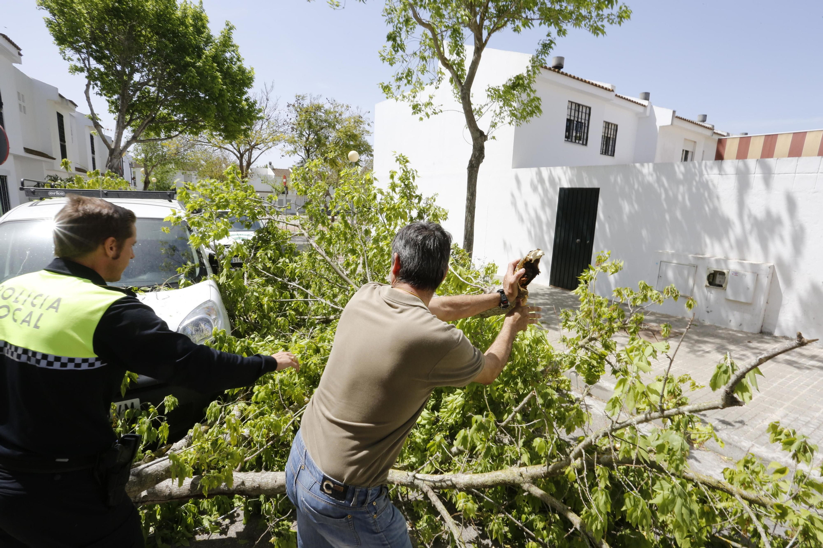 Policías y operarios de Medio Ambiente, retirando ramas.
