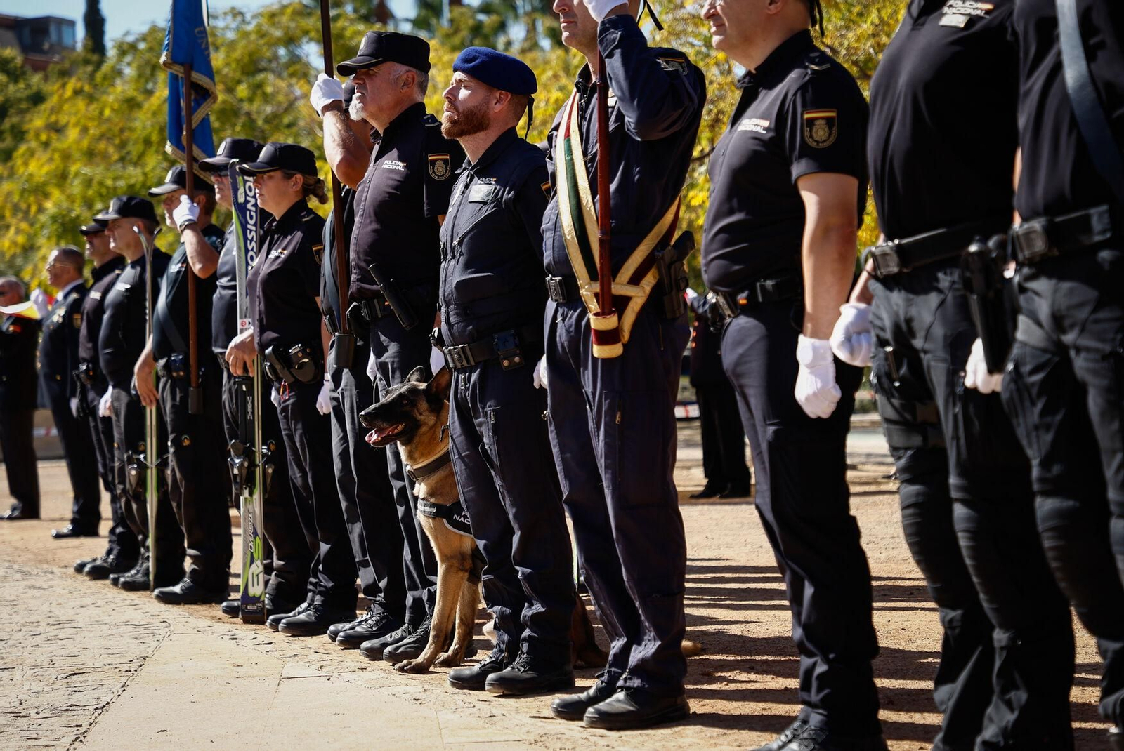 Todas las imágenes: así se ha vivido en Granada el Día de la Policía Nacional