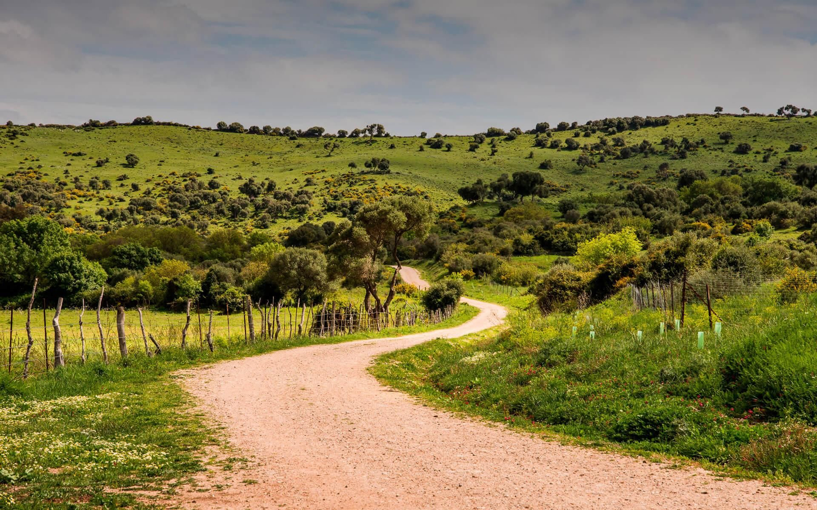 Parque Natural de Los Alcornocales, en el Campo de Gibraltar.