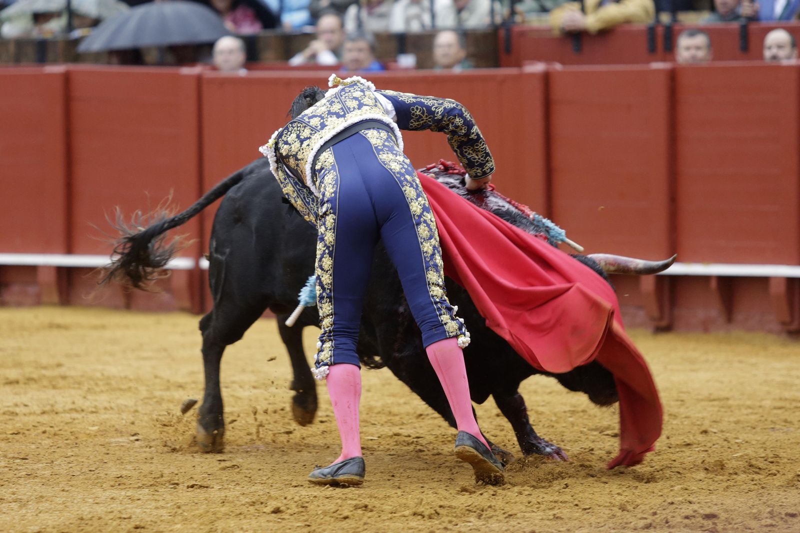 Manzanares, en una estocada recibiendo al segundo toro, al que cortó una oreja.