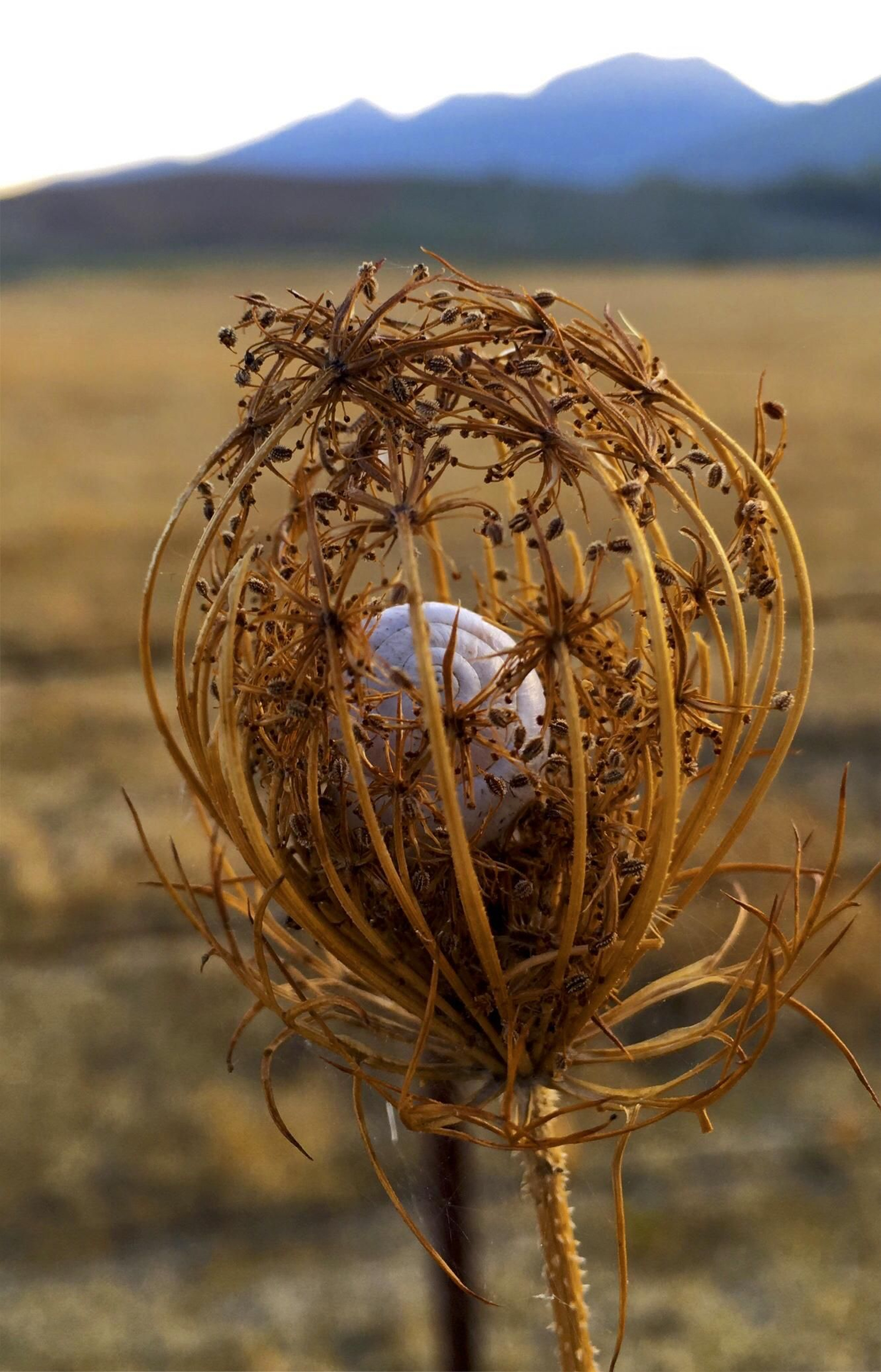 Lecciones de naturaleza.