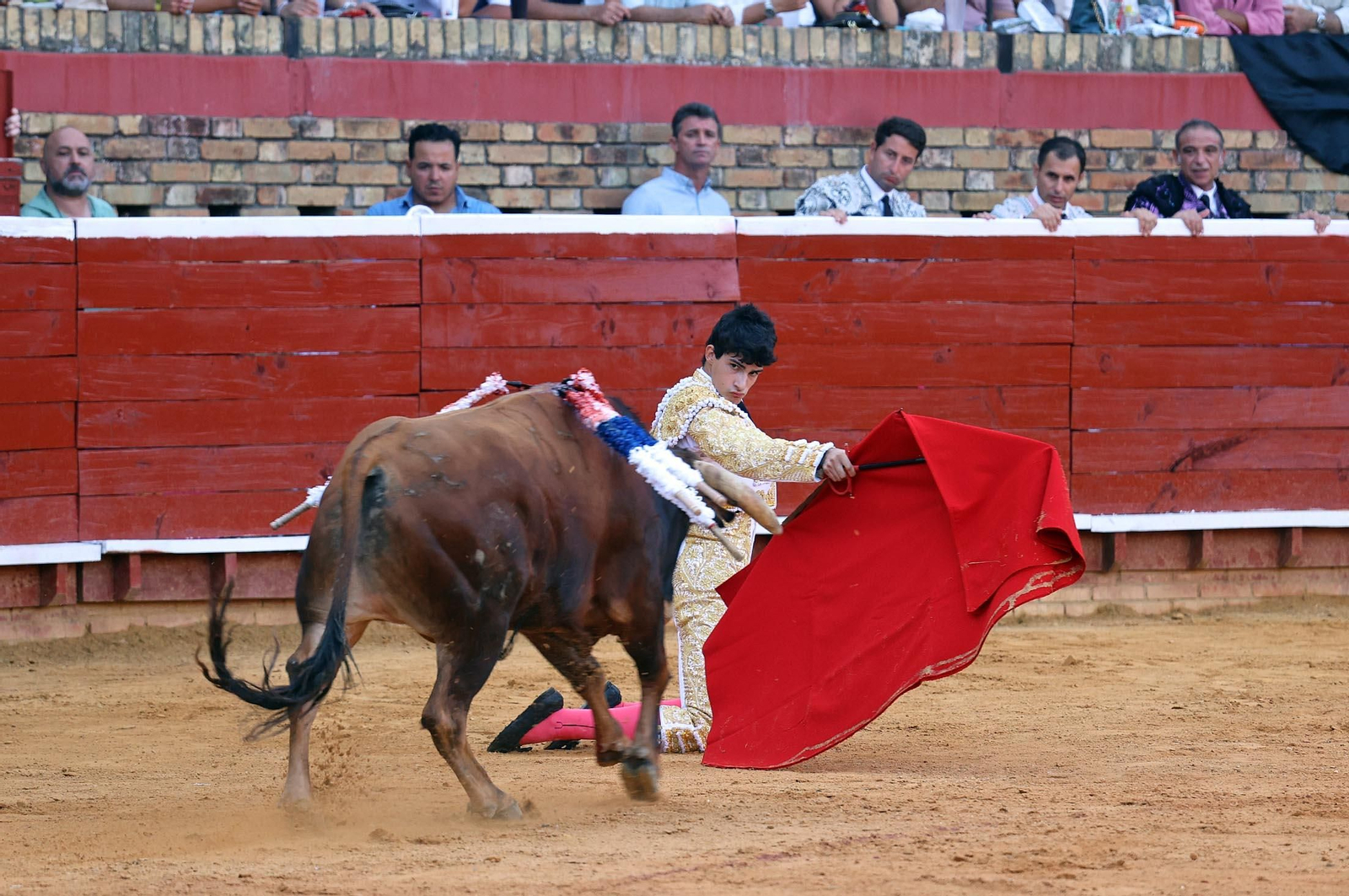 Toros La Merced 2025: Imágenes de la Novillada de Javier Zulueta, Cristian González y Carlos Tirado