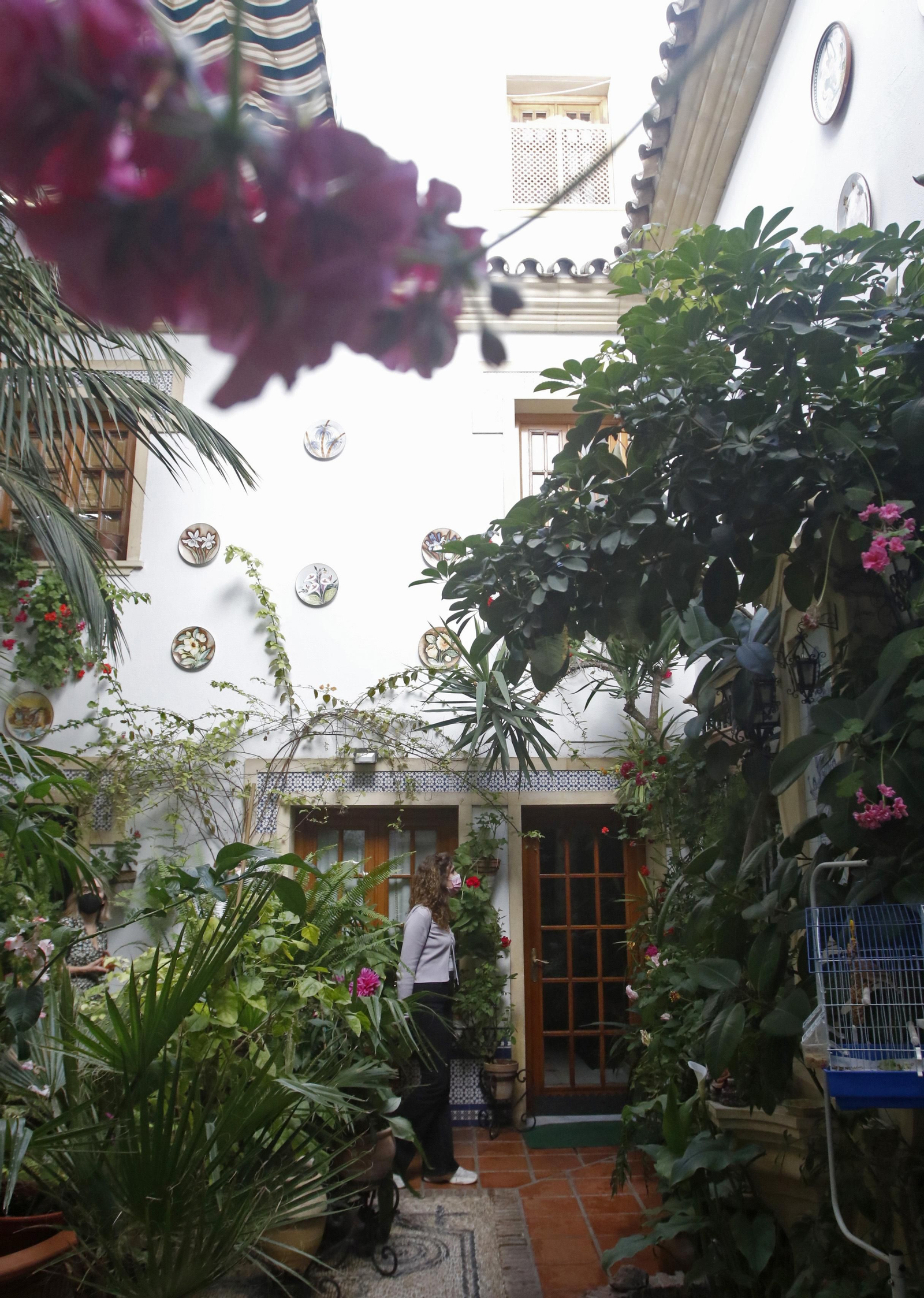 Ruta Judería - San Francisco de los Patios de Córdoba, en imágenes