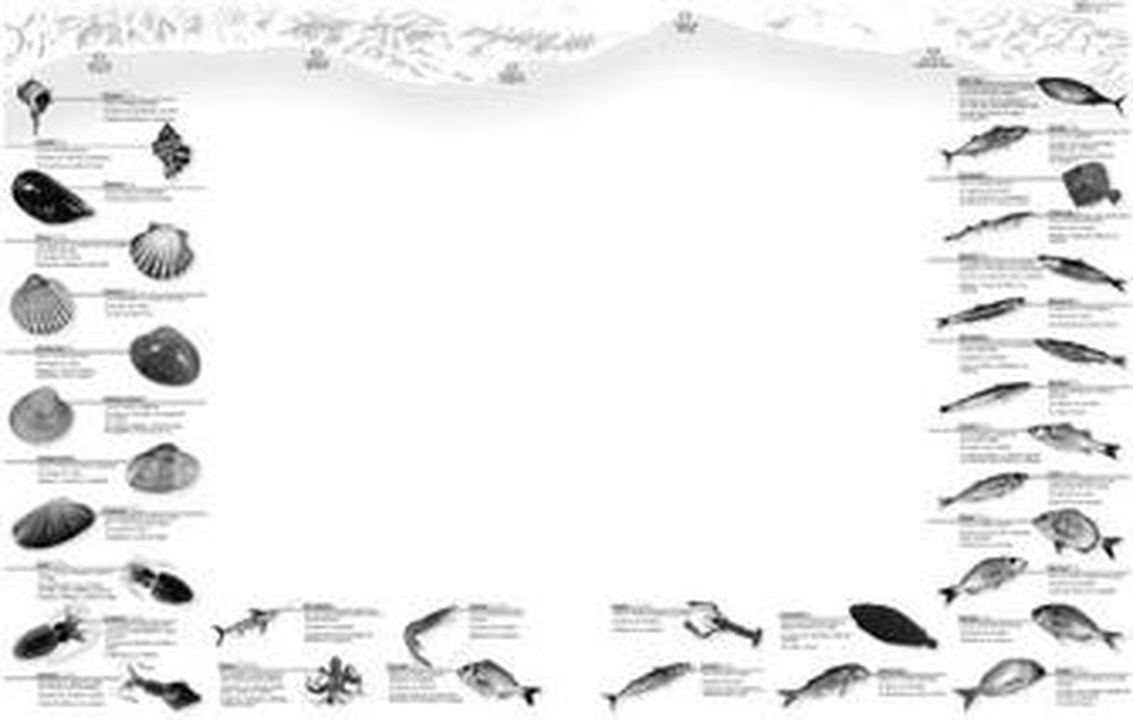 Unos pescadores faenan frente a la bahía en Málaga.