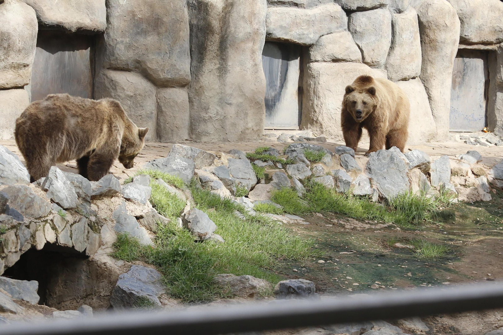 Las imágenes de la reapertura del zoo de Córdoba