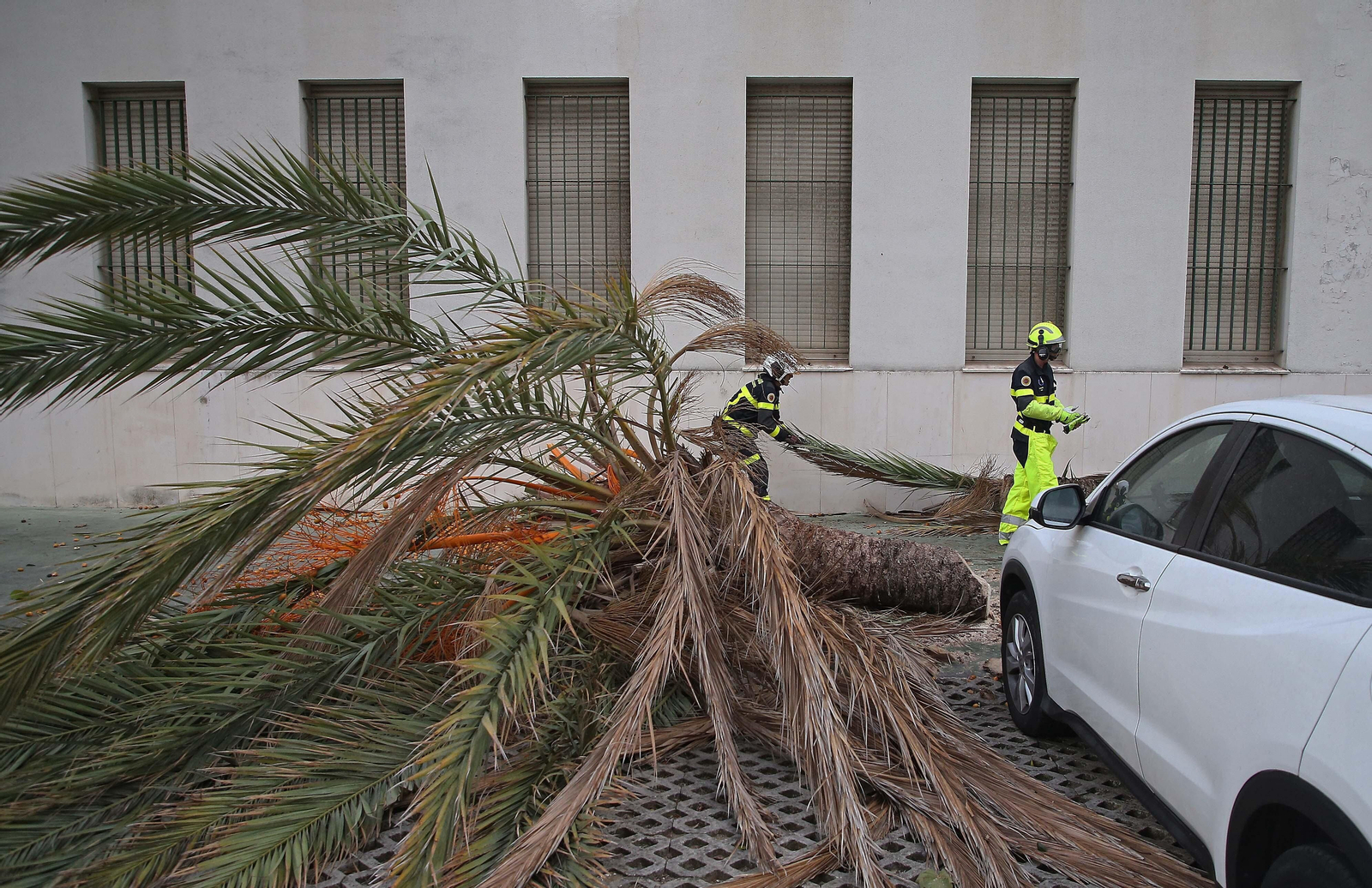 El paso de la borrasca Aline por Algeciras, en imágenes