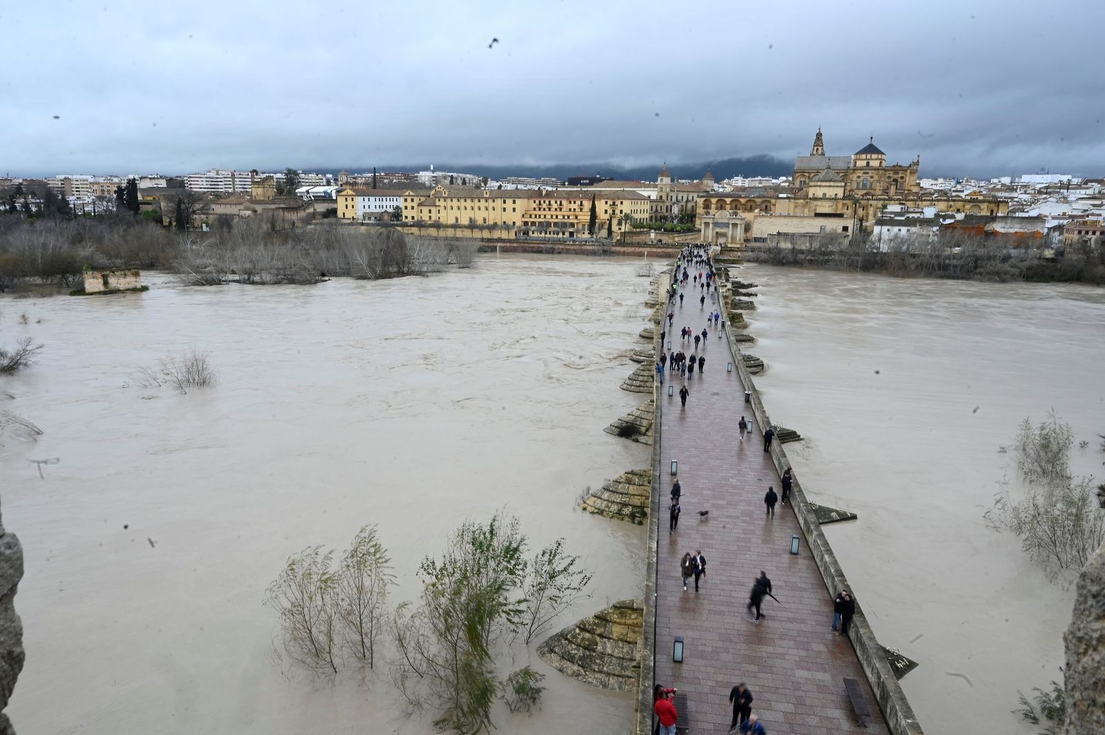 La impresionante crecida del río Guadalquivir: se acerca a los 6 metros a su paso por Córdoba