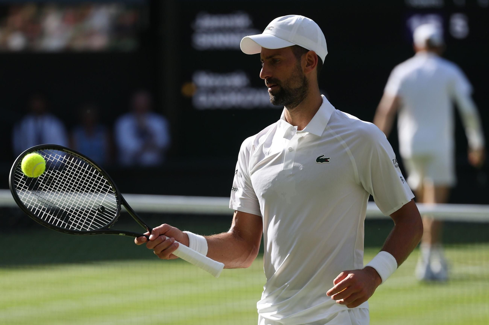 Las mejores imágenes del Sinner - Djokovic Las mejores imágenes del Sinner - Djokovic