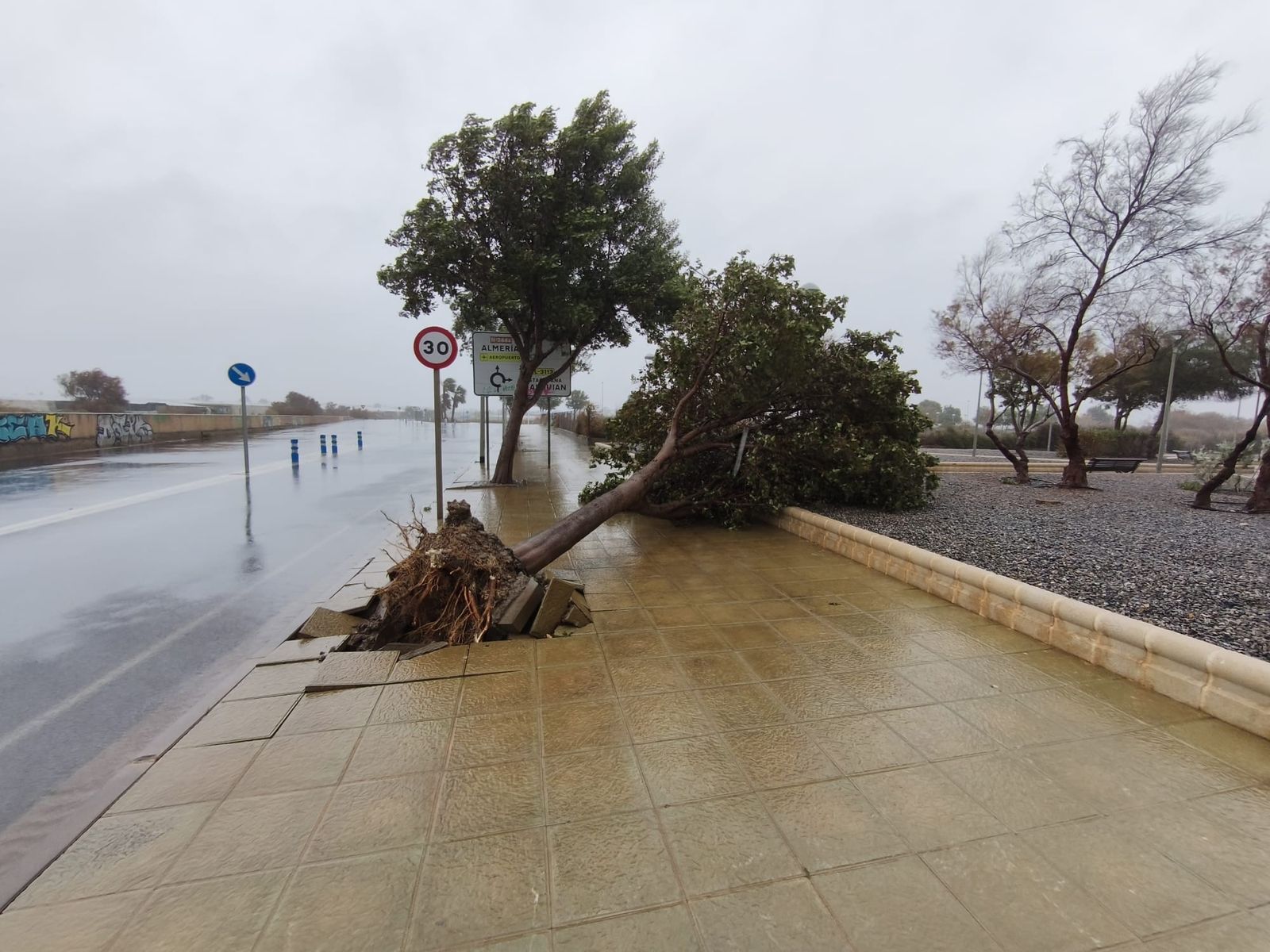 Incidencias de la borrasca en Almería.