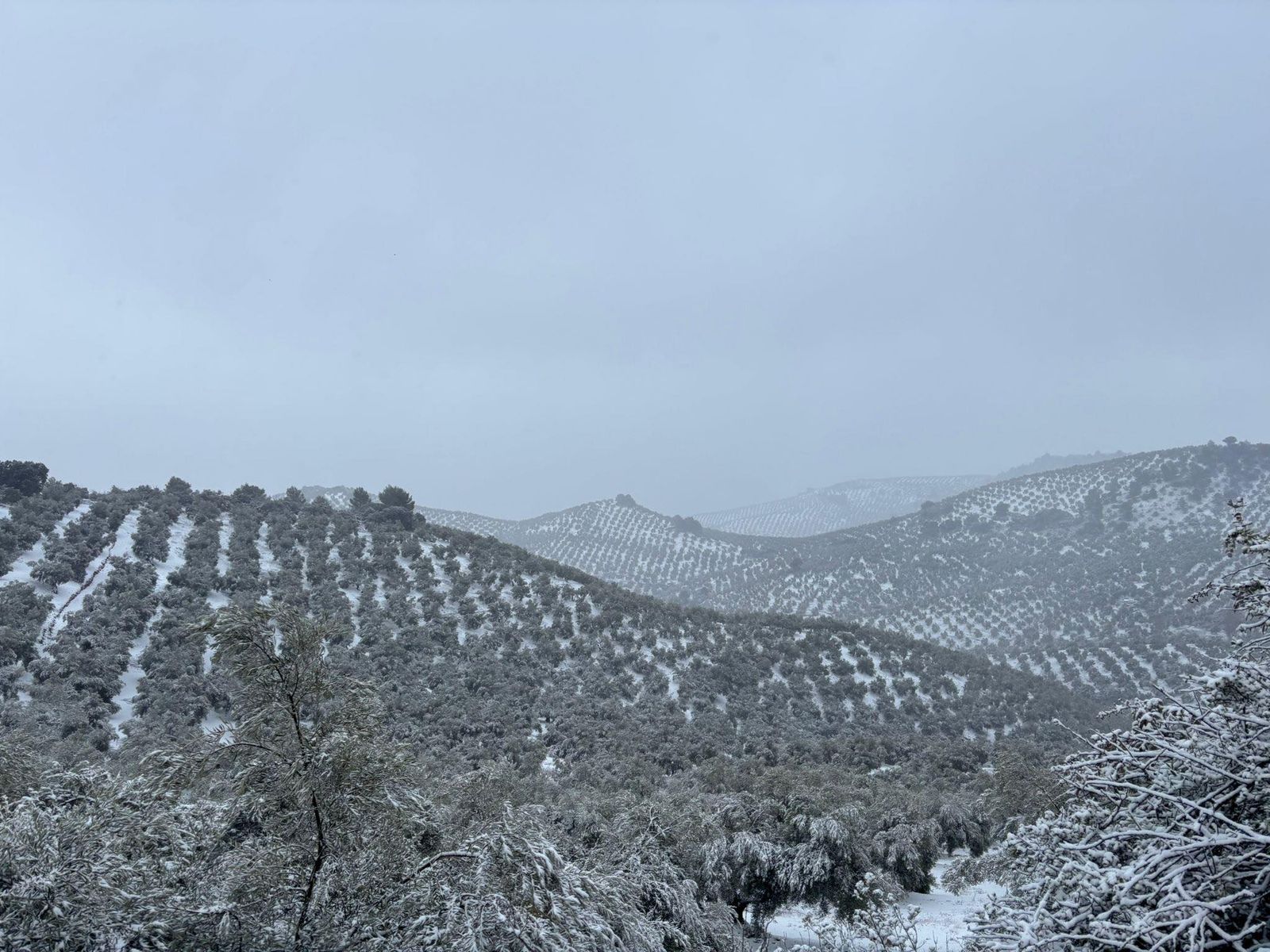 617231693_1440456967458875_4751723894733292699_n