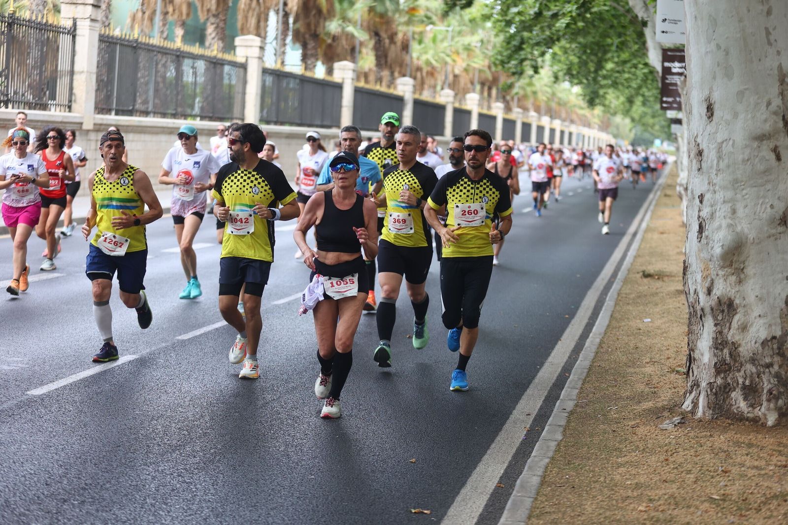 Las mejores fotos de la Carrera Ponle Freno en Málaga