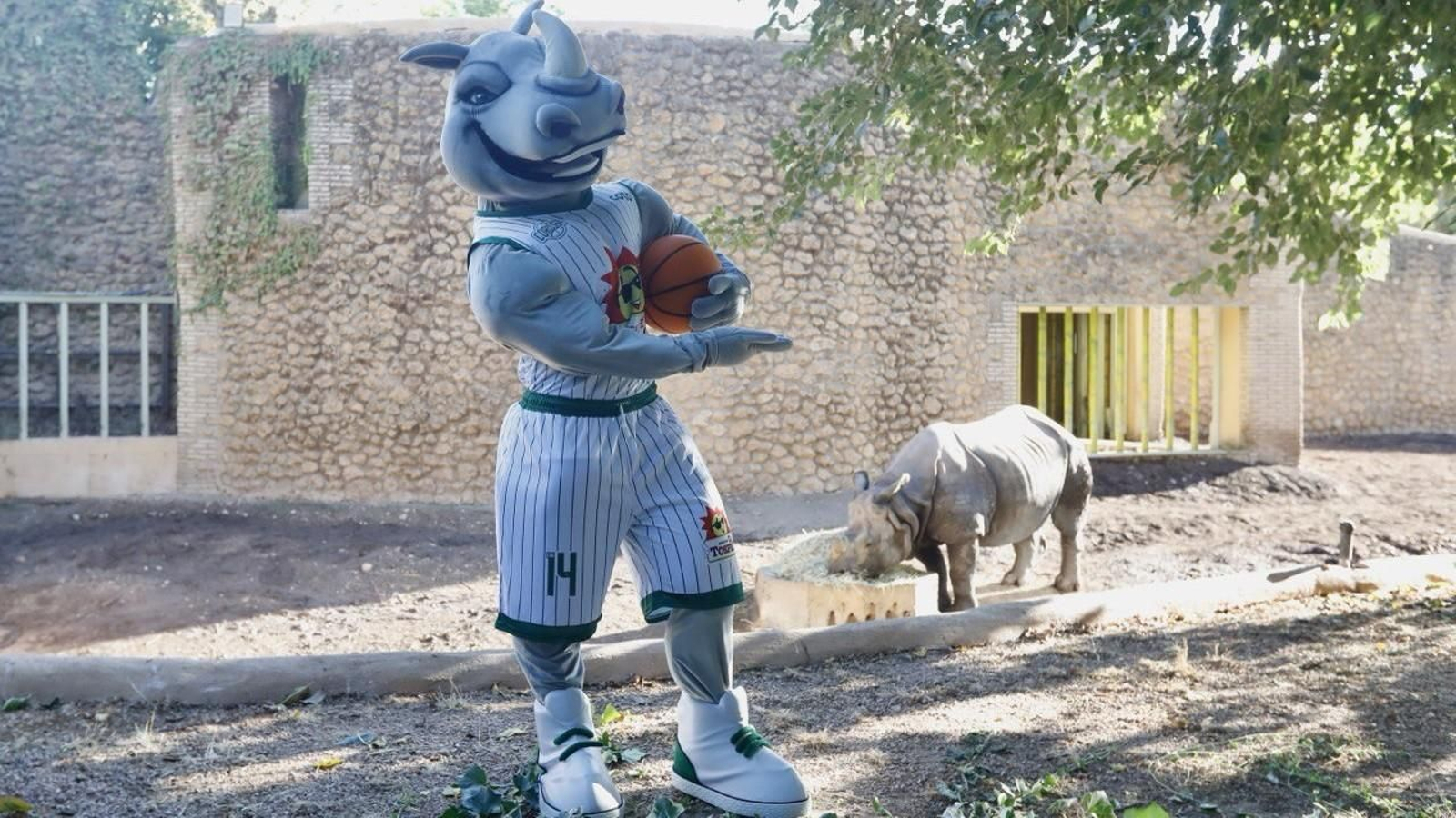 El rinoceronte 'Manas', en el zoo de Córdoba.