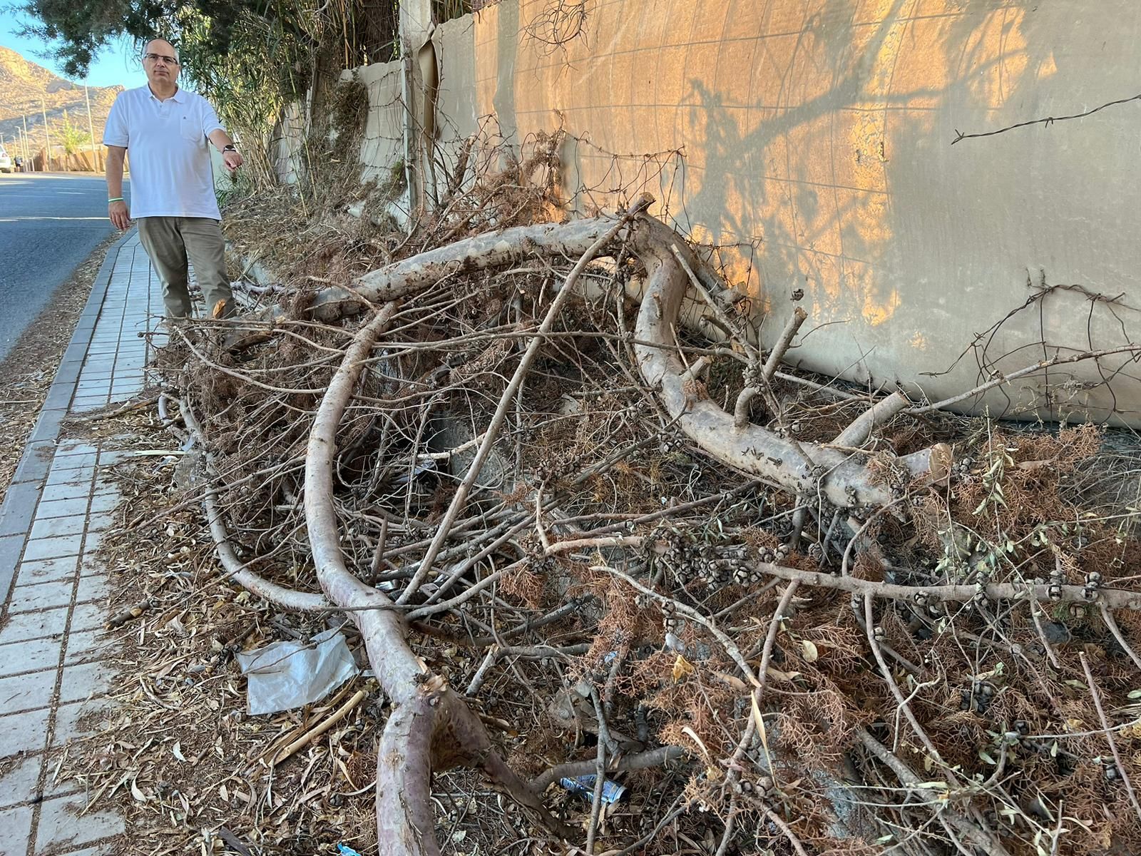 Solicitan el saneamiento del camino del Cerro del Toro de Motril
